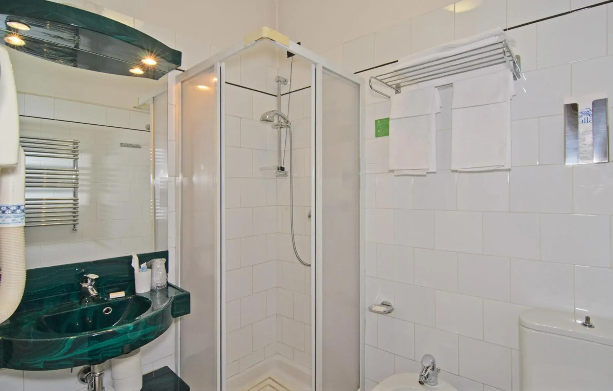 Shower, Bathroom in Hotel Rex