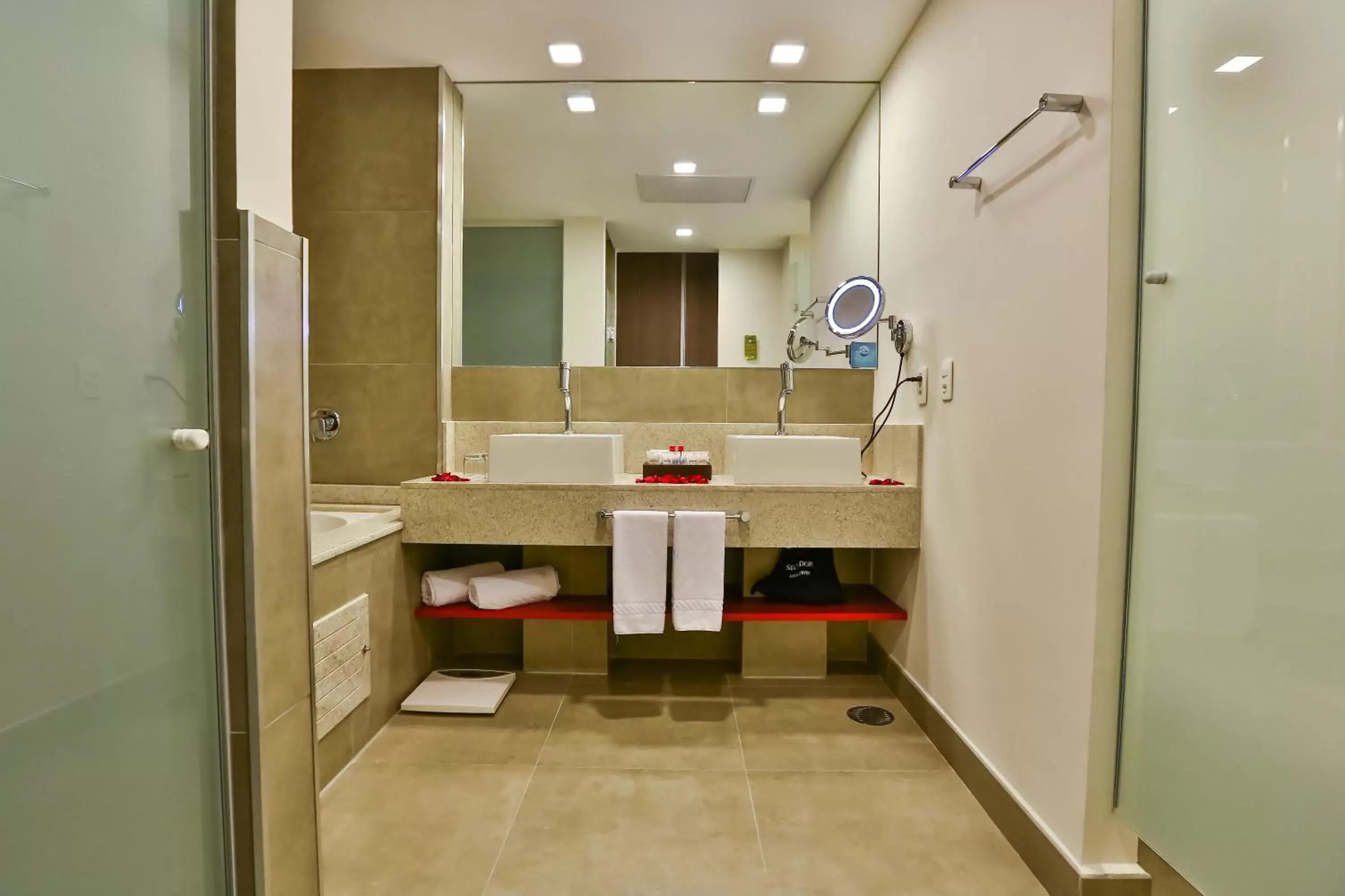 Hot Tub, Bathroom in Hilton Garden Inn Santo Andre