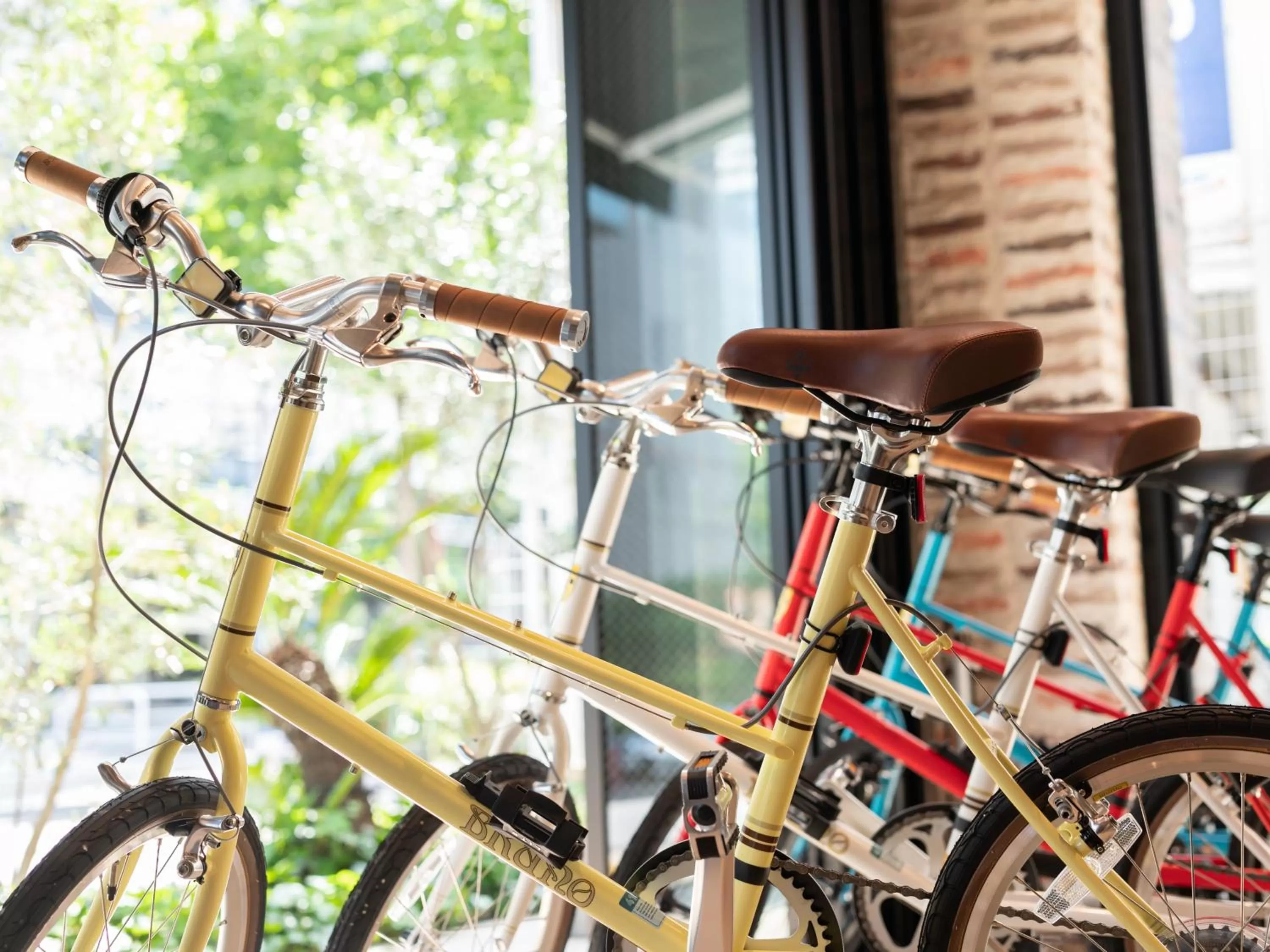 Cycling in ACCESS by LOISIR HOTEL Nagoya