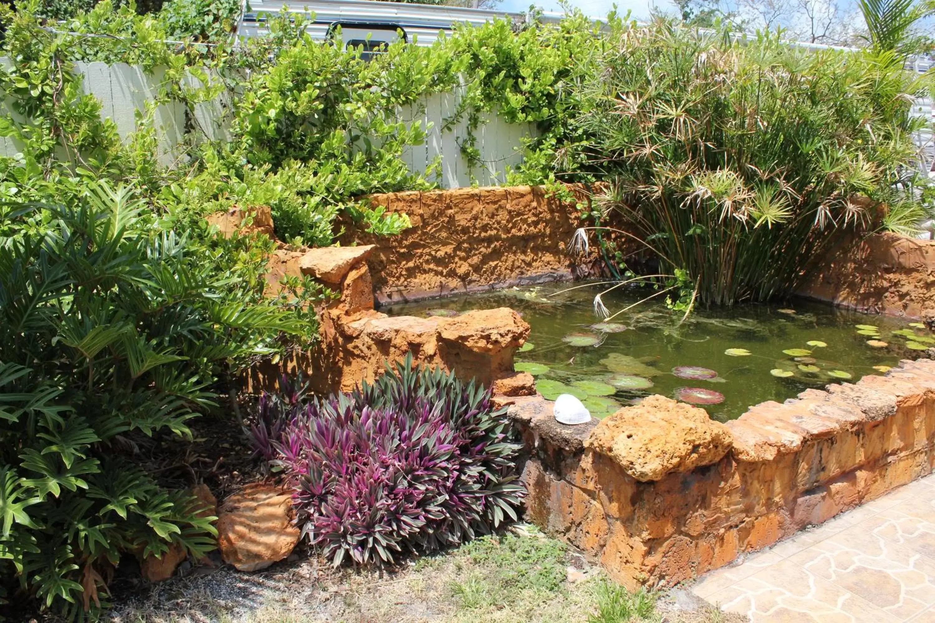 Natural landscape, Garden in Sea Dell Motel - Marathon