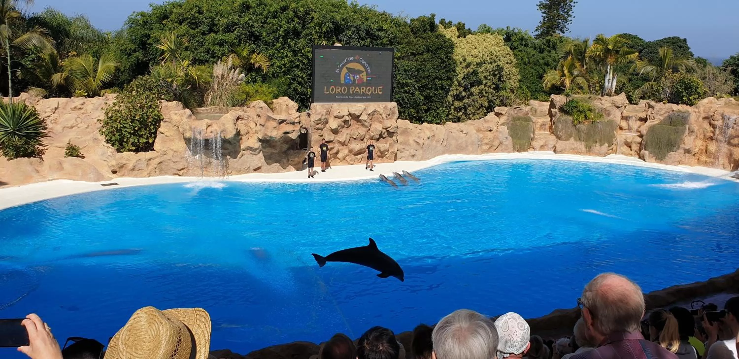 Other, Swimming Pool in Tenerife Rooms S. C.