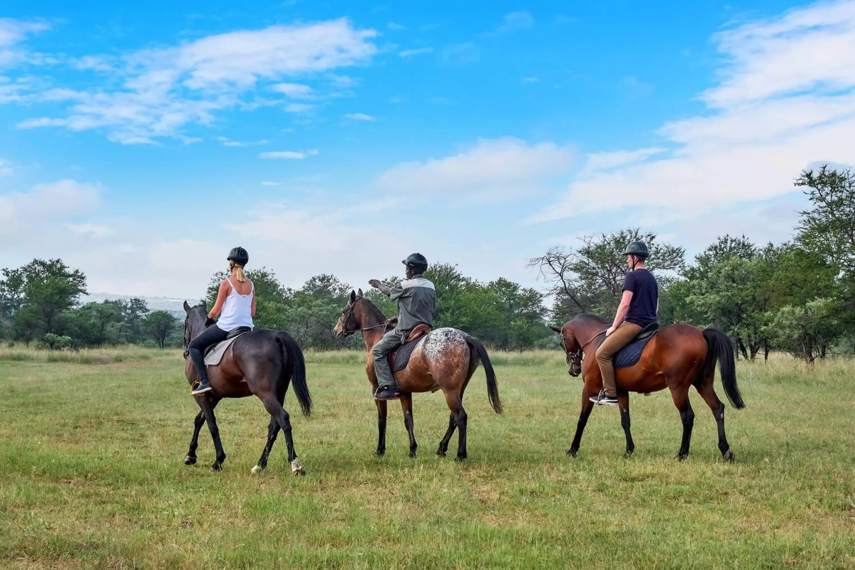 Other, Horseback Riding in Protea Hotel by Marriott Polokwane Ranch Resort