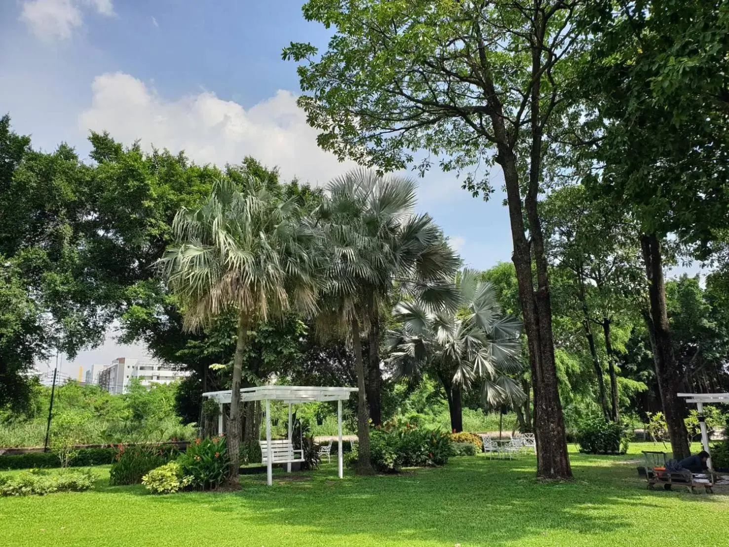 Natural landscape, Garden in Montien Riverside Hotel Bangkok