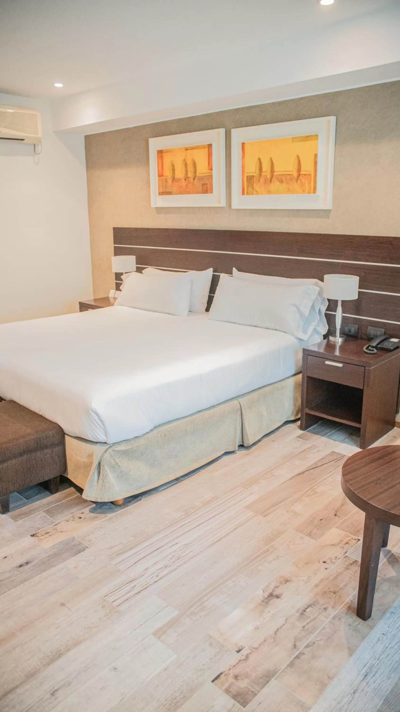 Double Room in Orfeo Suites Cordoba