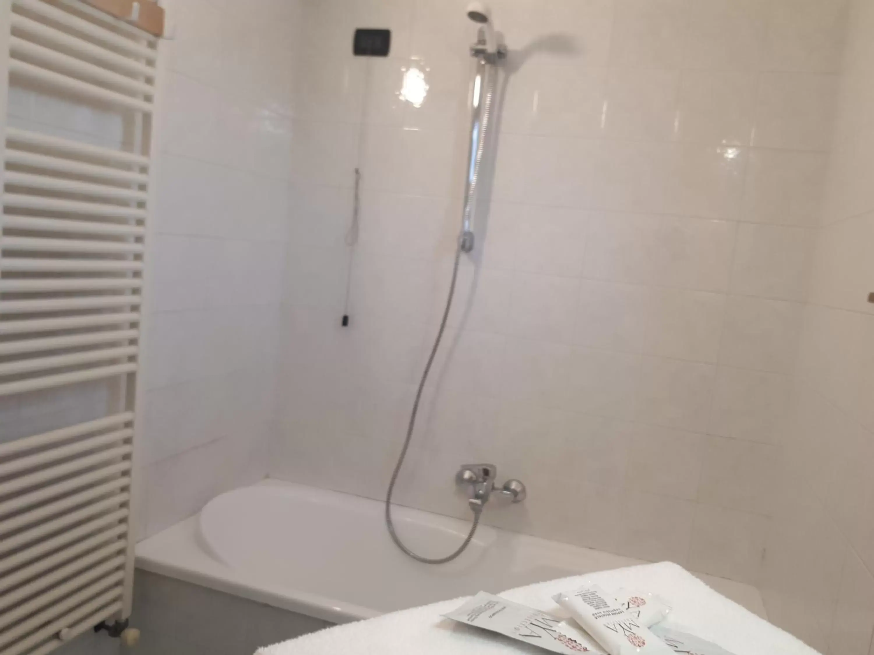 Shower, Bathroom in Hotel Kristall