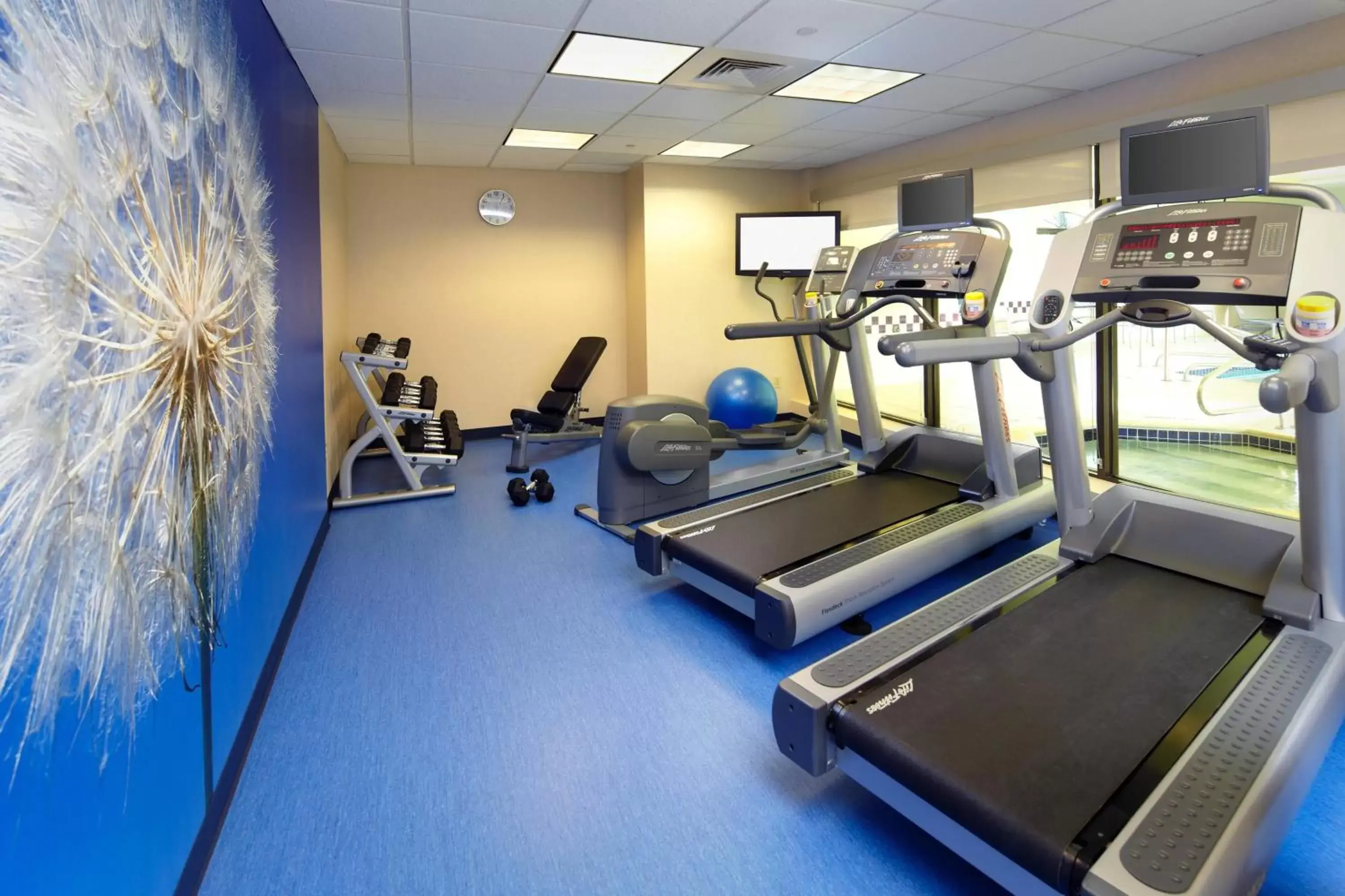 Fitness centre/facilities, Fitness Center/Facilities in SpringHill Suites by Marriott Pittsburgh Washington