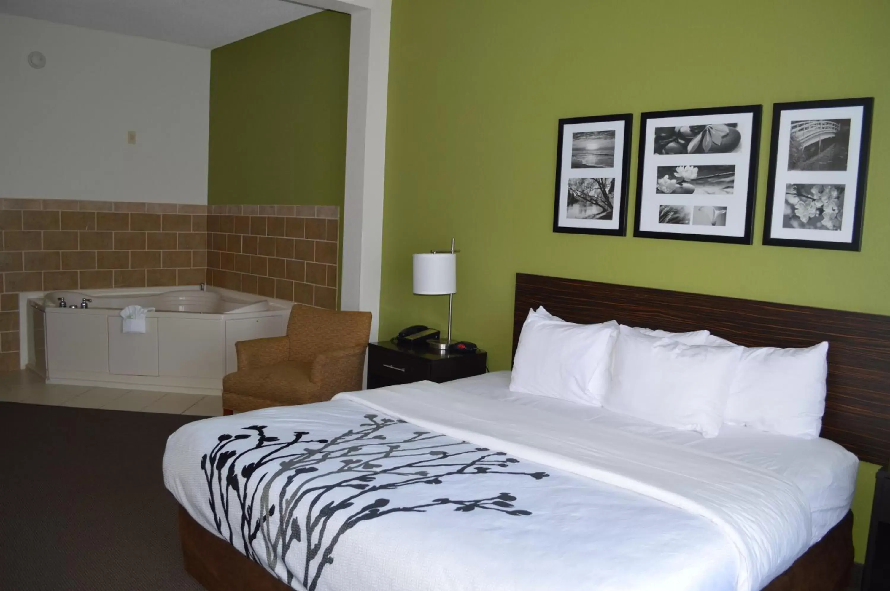 King Suite with Hot Tub - Non-Smoking in Sleep Inn & Suites Virginia Horse Center King Suite with Hot Tub - Non-Smoking in Sleep Inn & Suites Virginia Horse Center