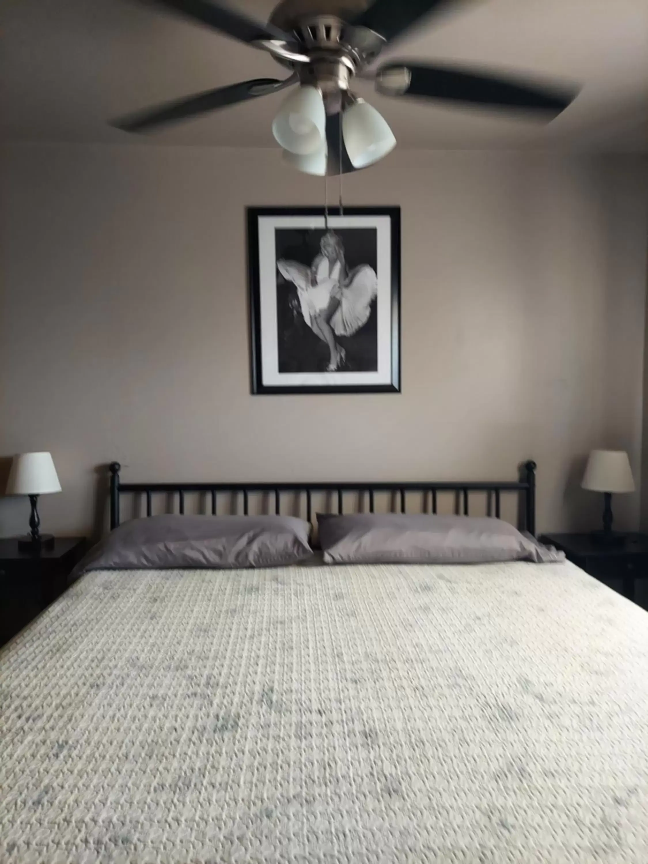 Single Room in Cactus Inn Single Room in Cactus Inn