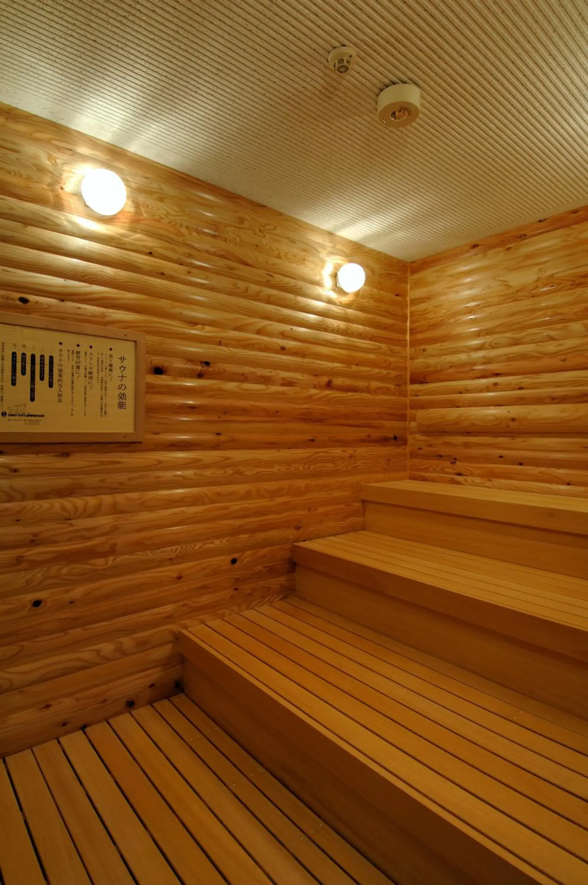 Sauna in Toyama Manten Hotel