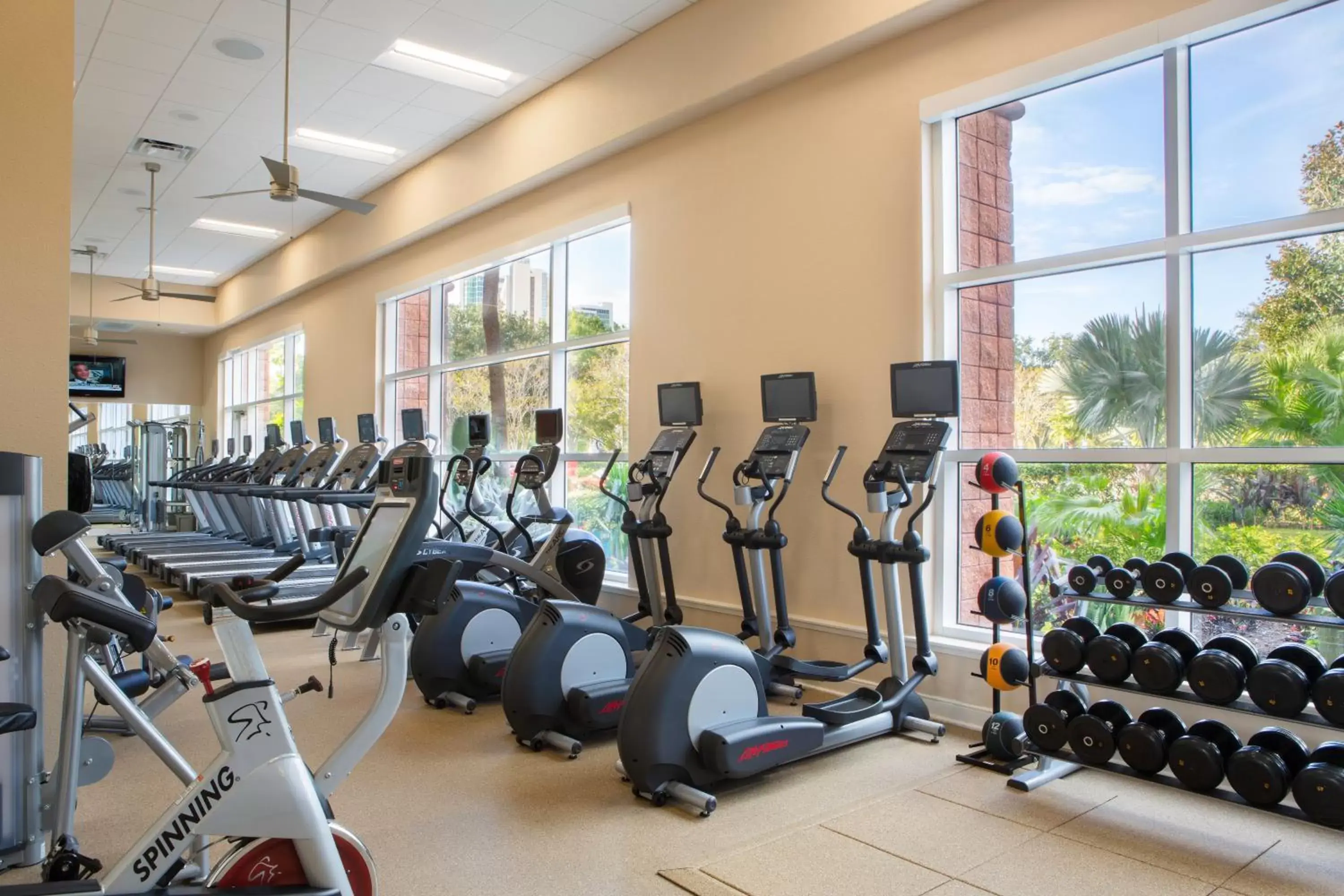 Activities, Fitness Center/Facilities in Rosen Centre Hotel Orlando Convention Center