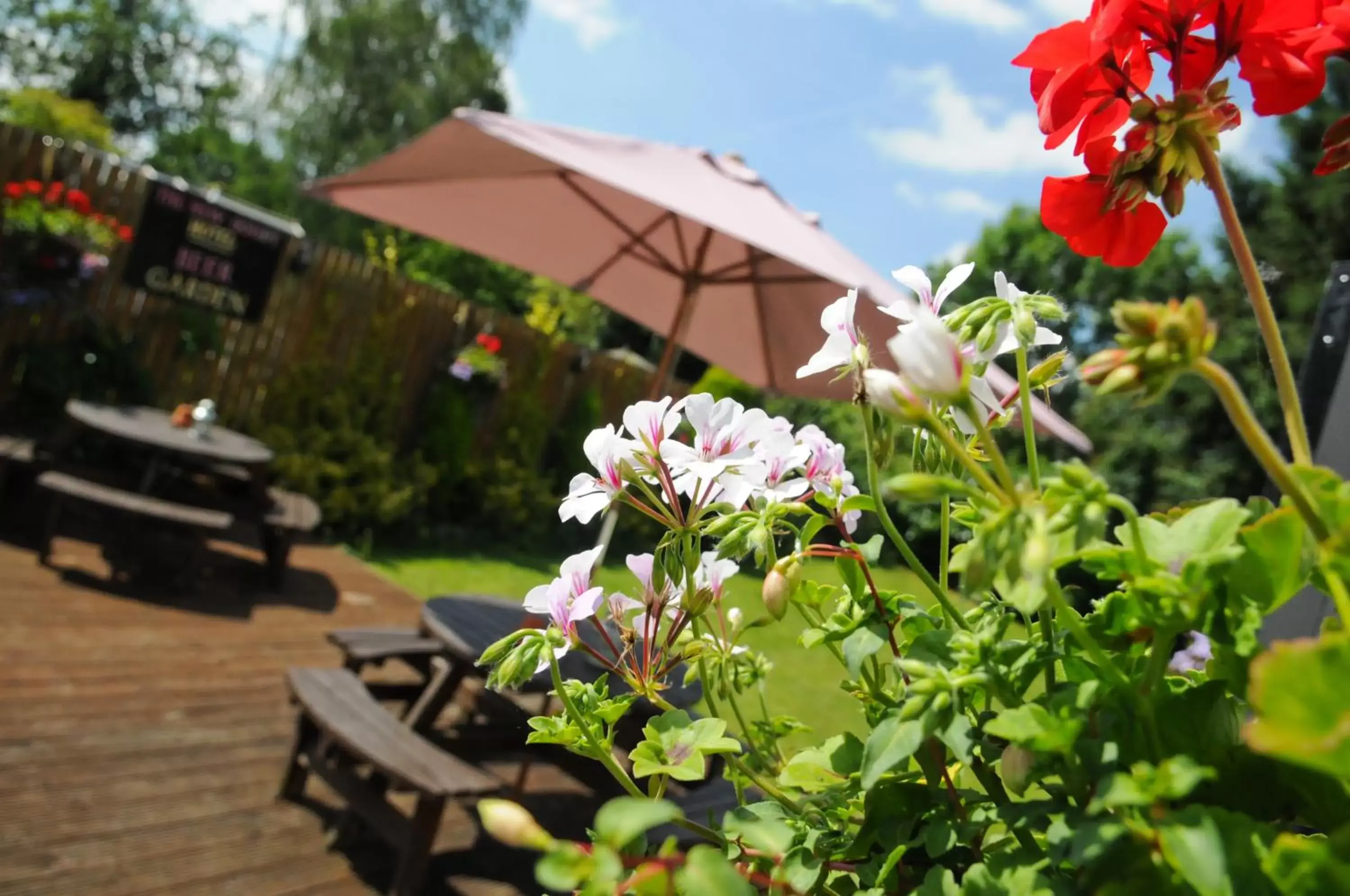 Garden in The New Court Inn