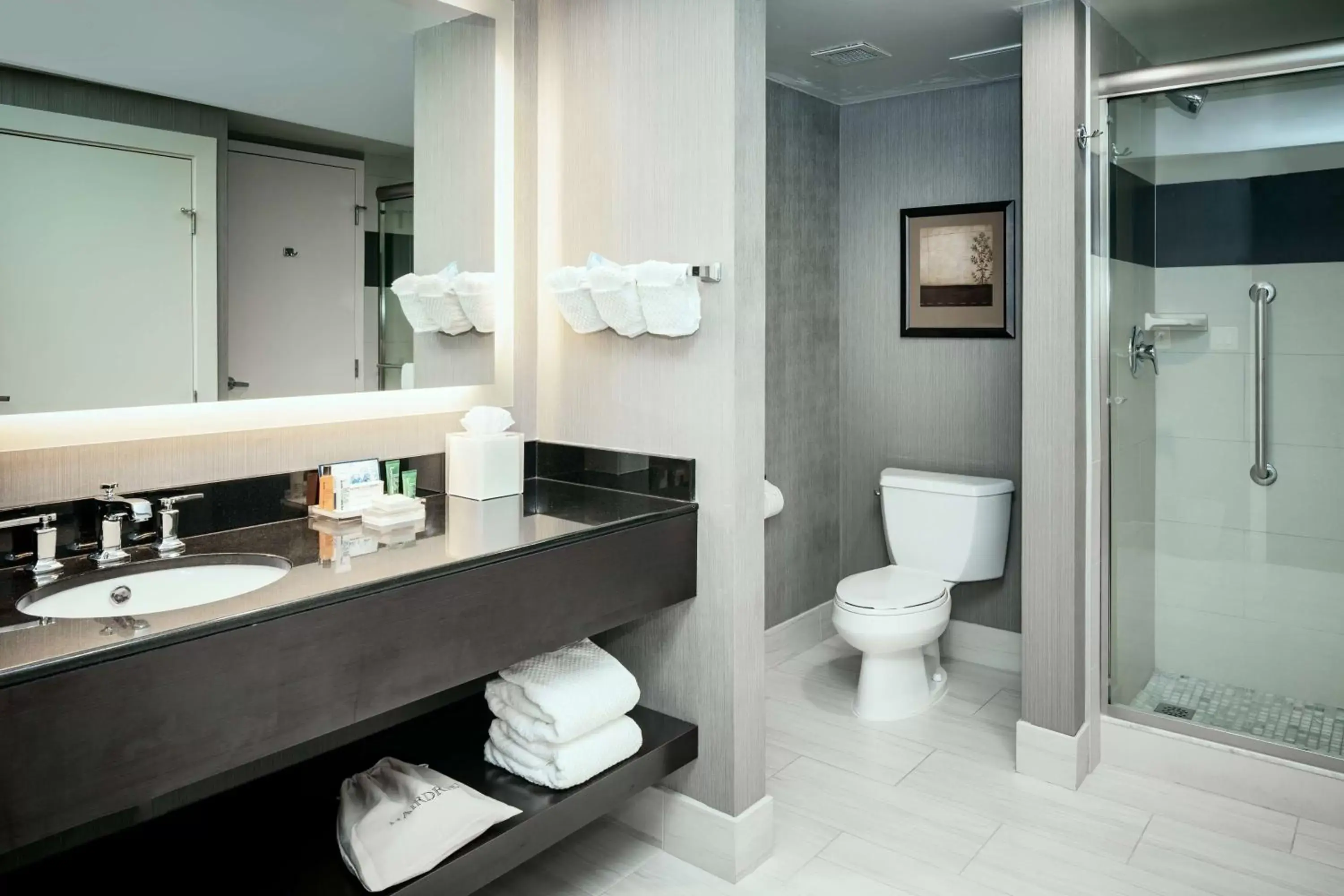 Bathroom in Hilton Suites Brentwood