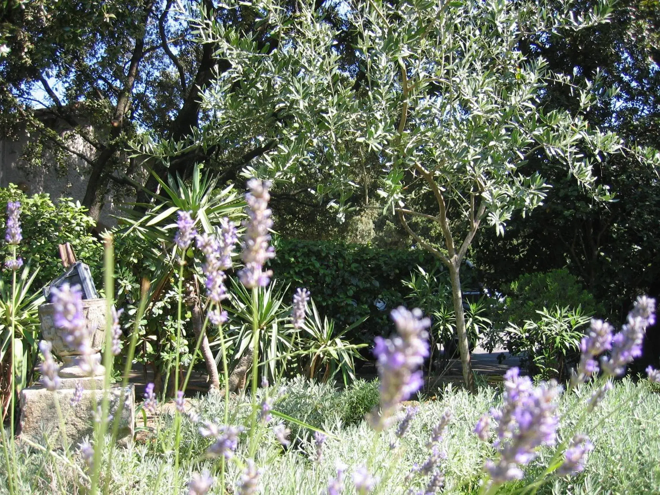 Garden, Other Animals in Le Petit Manoir Logis