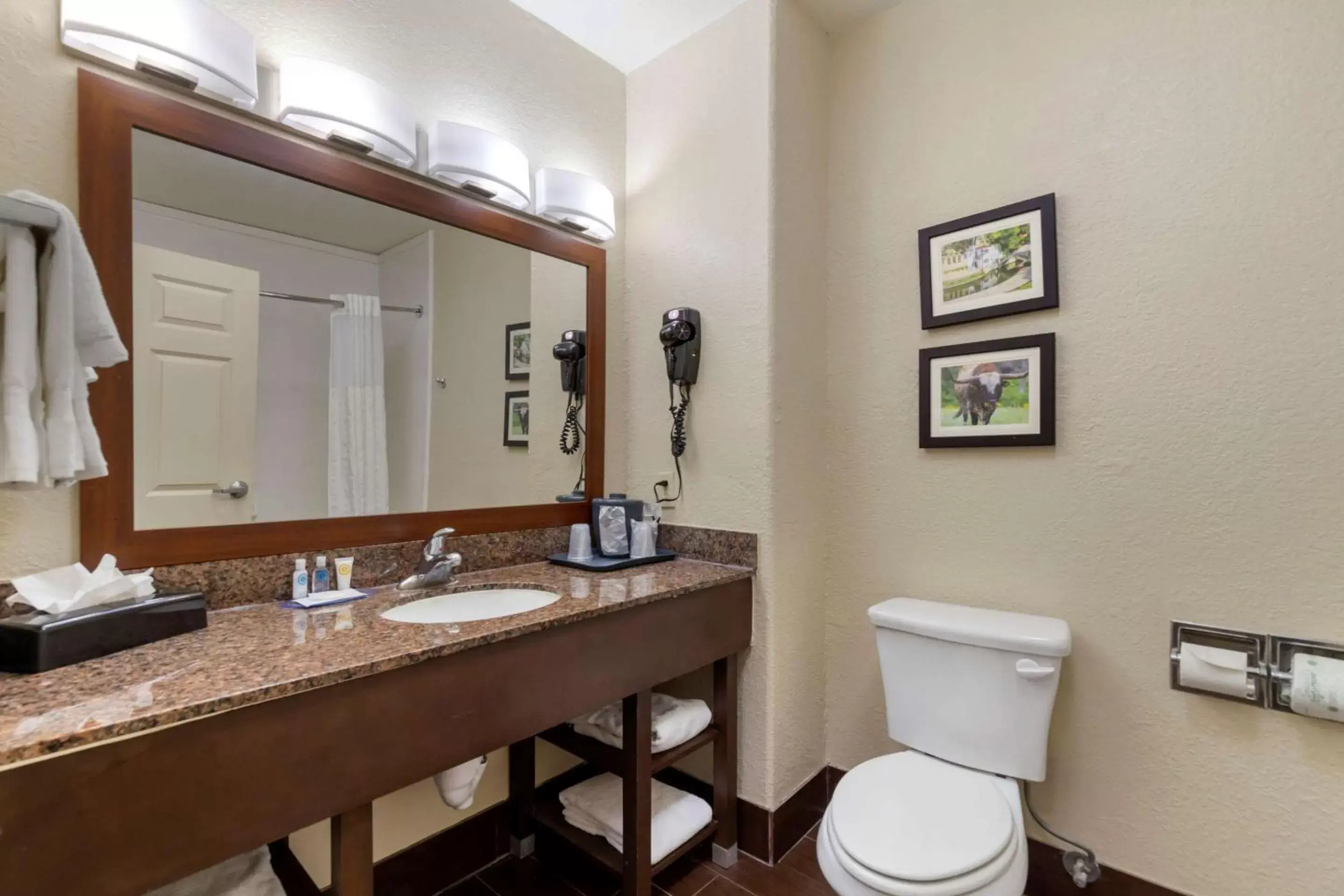 Bathroom in Comfort Inn & Suites Near Six Flags & Medical Center