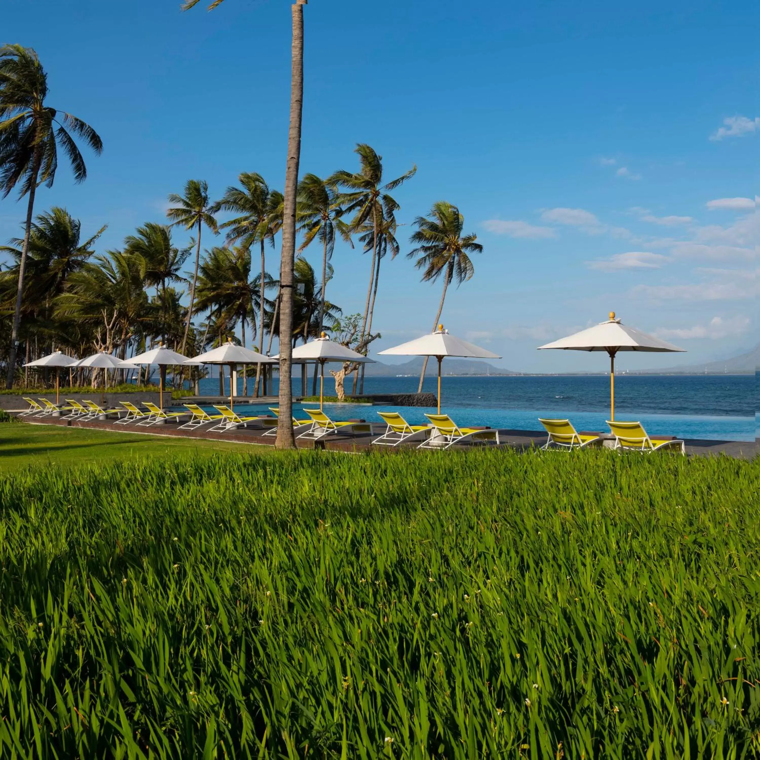 Swimming pool in Dialoog Banyuwangi Swimming pool in Dialoog Banyuwangi