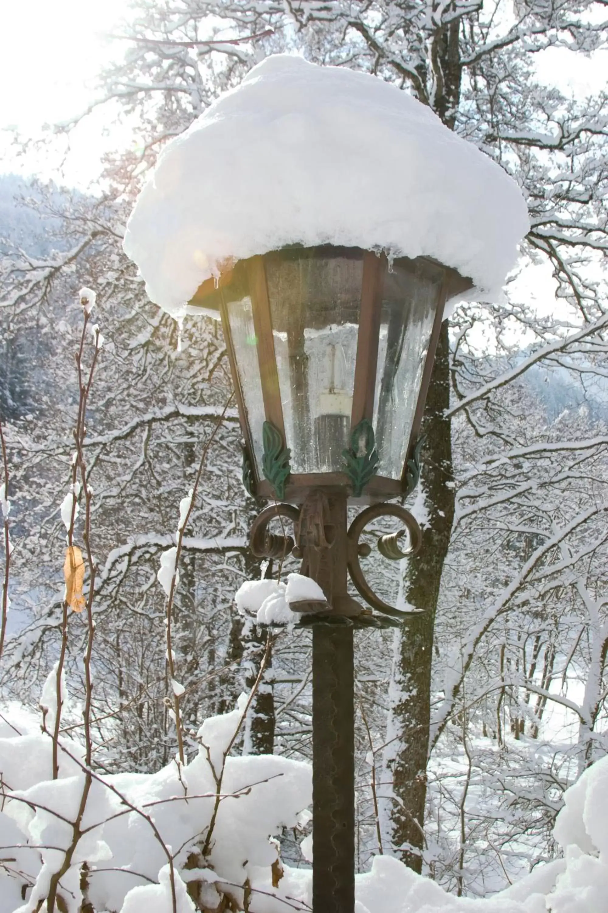 Area and facilities, Winter in Huber Hotel Tramserhof