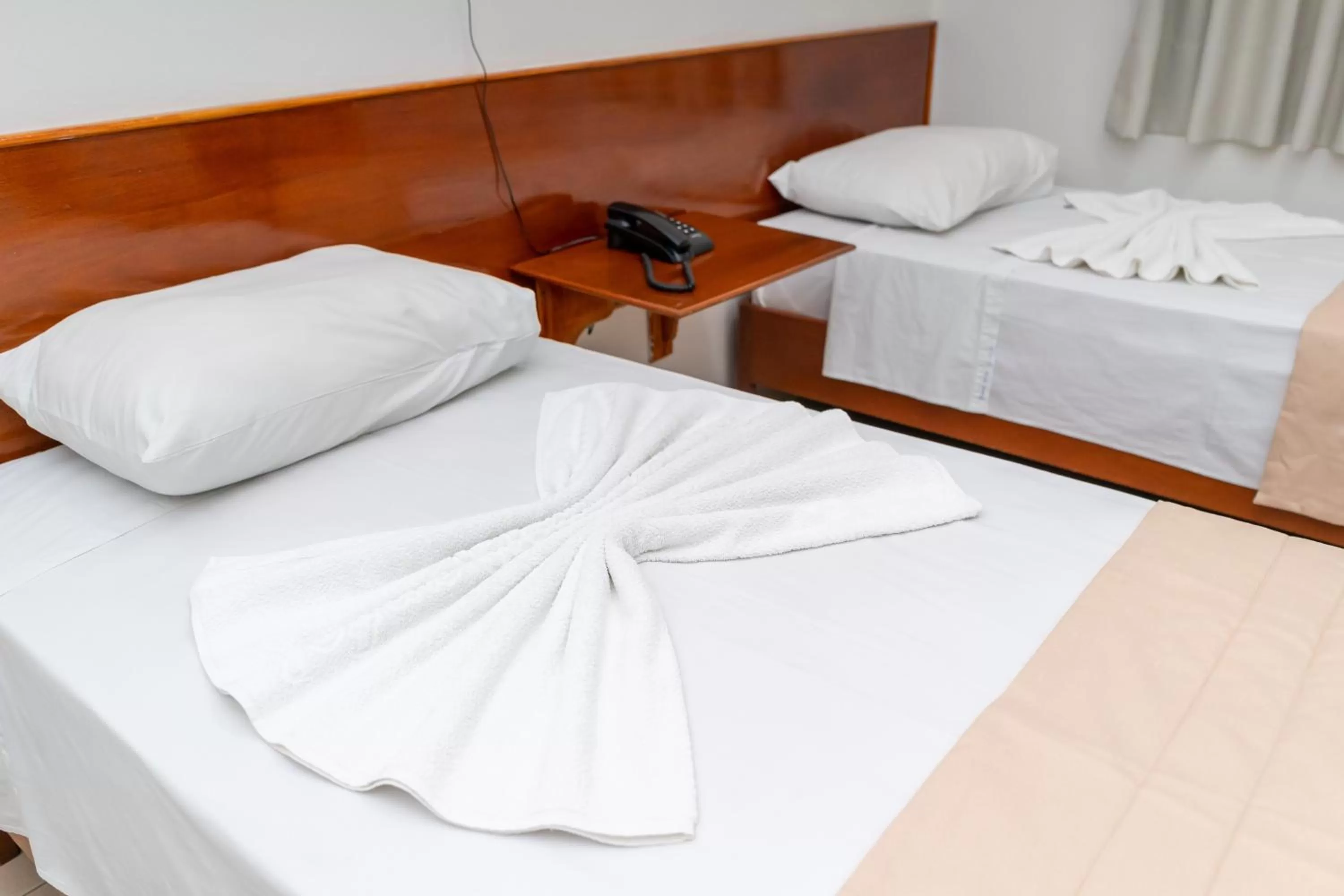 Standard Twin Room in Bandeirantes Hotel