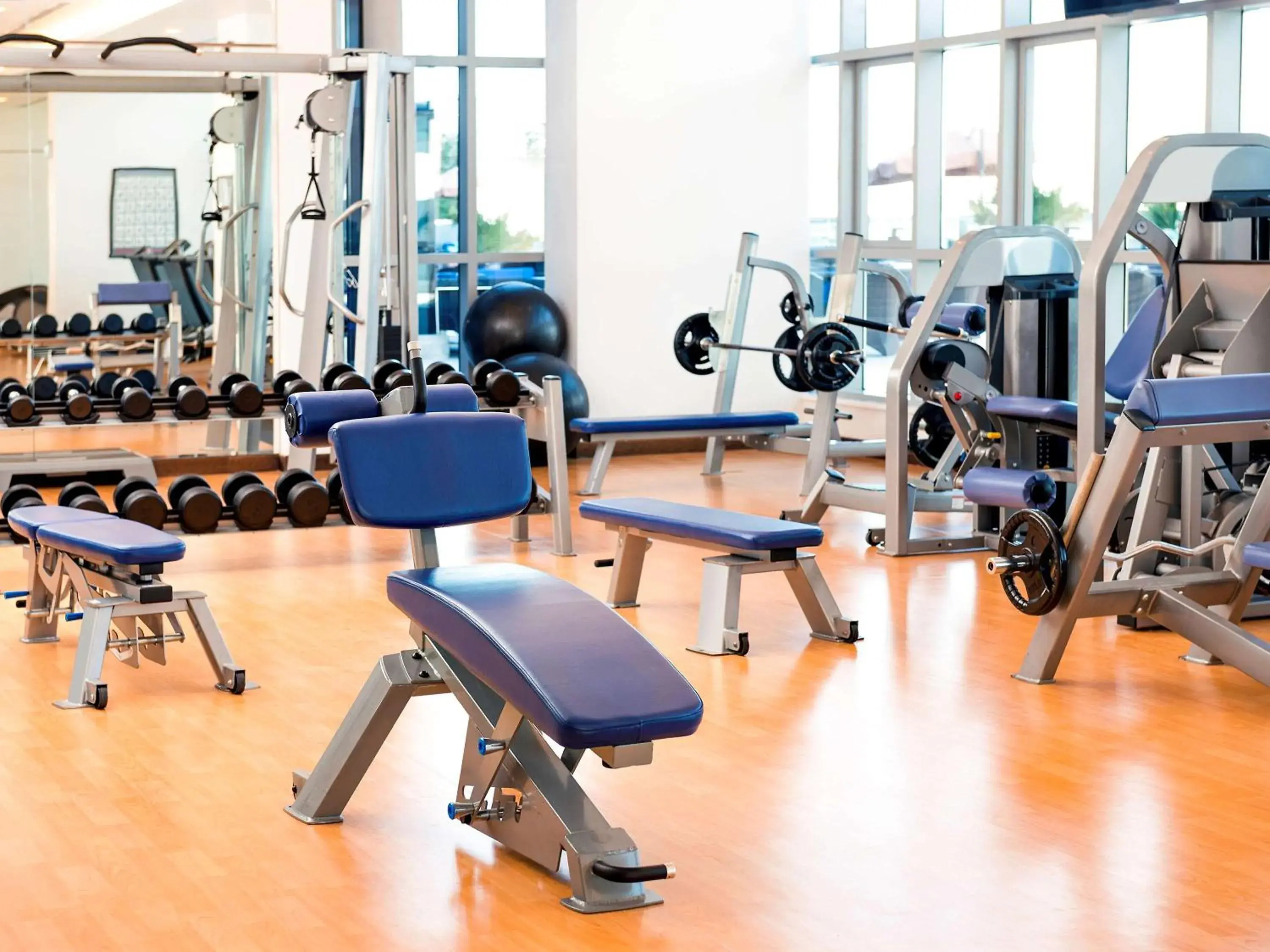 Lounge or bar, Fitness Center/Facilities in Ibis Abu Dhabi Gate Hotel