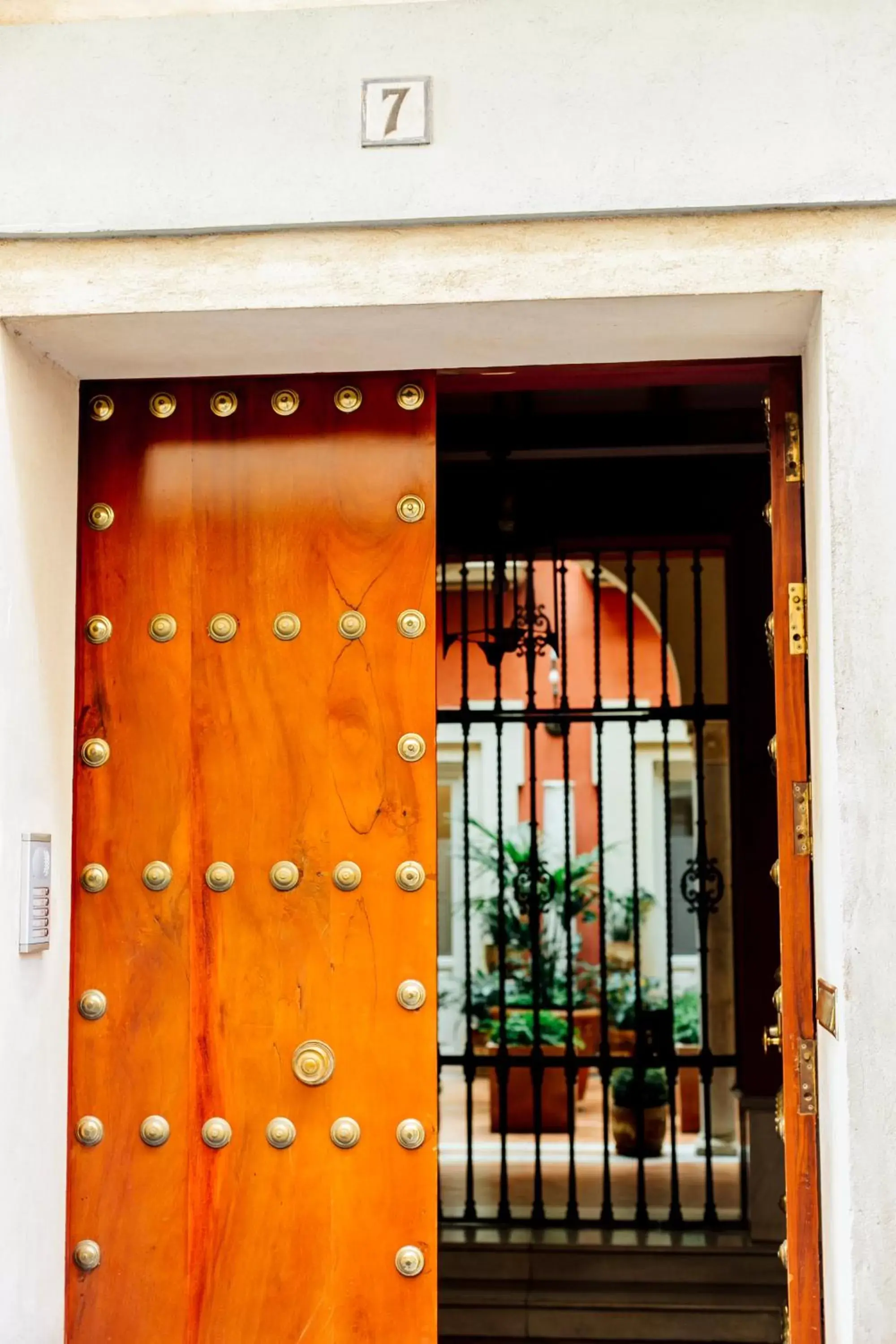 Casa Patio del Siglo XIX