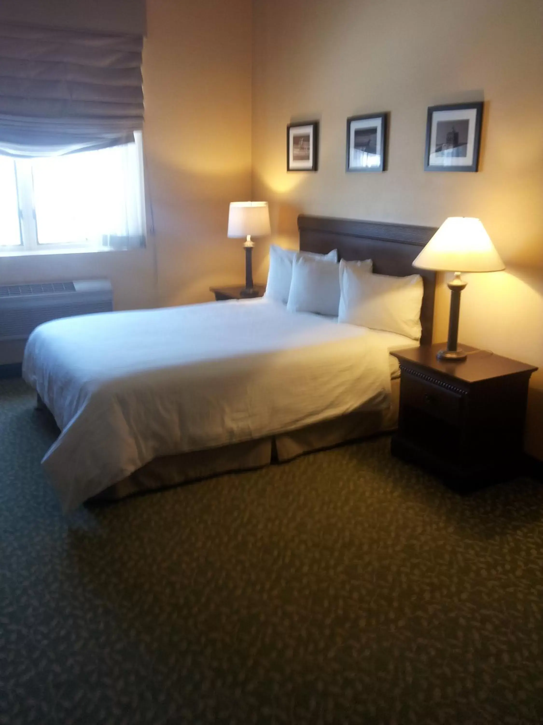 Queen Room- Disability Access in Belvedere Inn Schenectady - Albany