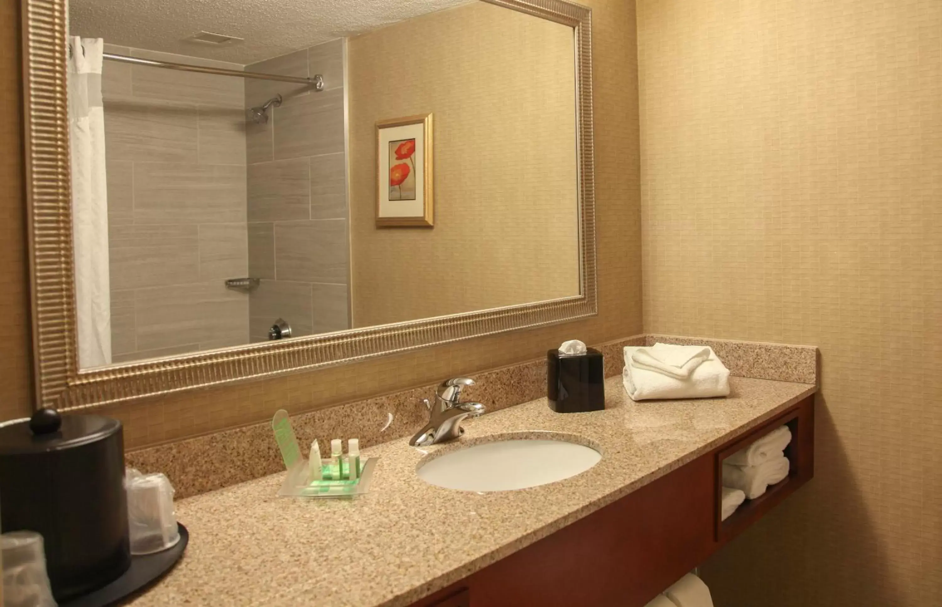 Bathroom in Holiday Inn Dayton/Fairborn I-675, an IHG Hotel