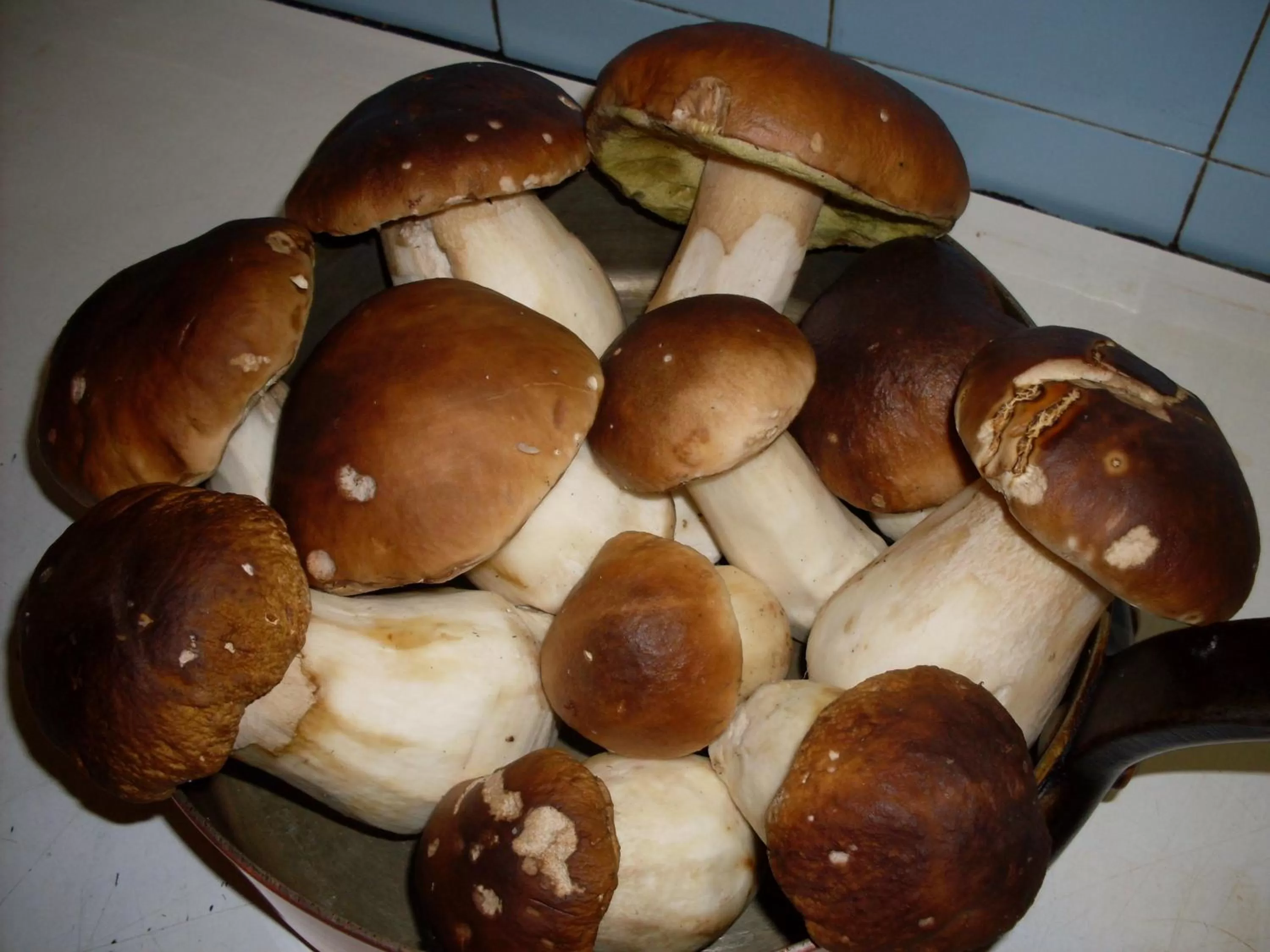 Other in Cit'Hotel L'Etape