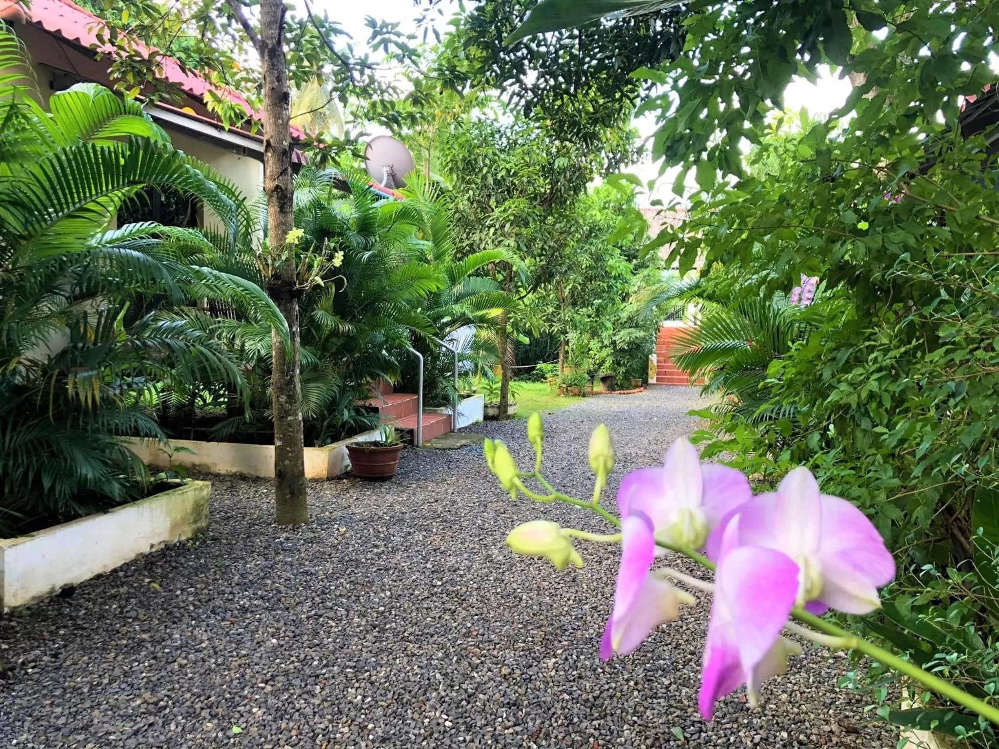 Property building in Green Mango Bungalows