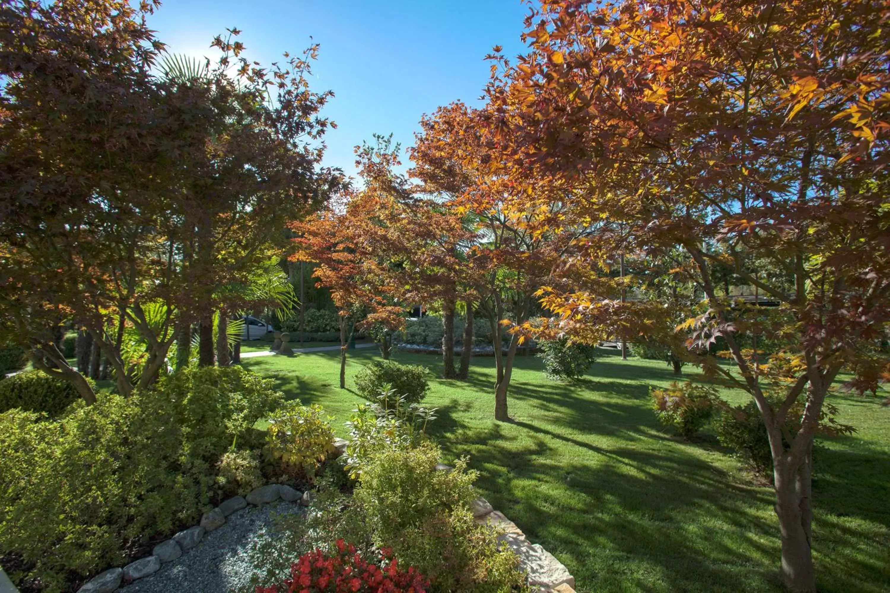 Garden view, Garden in Hotel Savoia Thermae & SPA