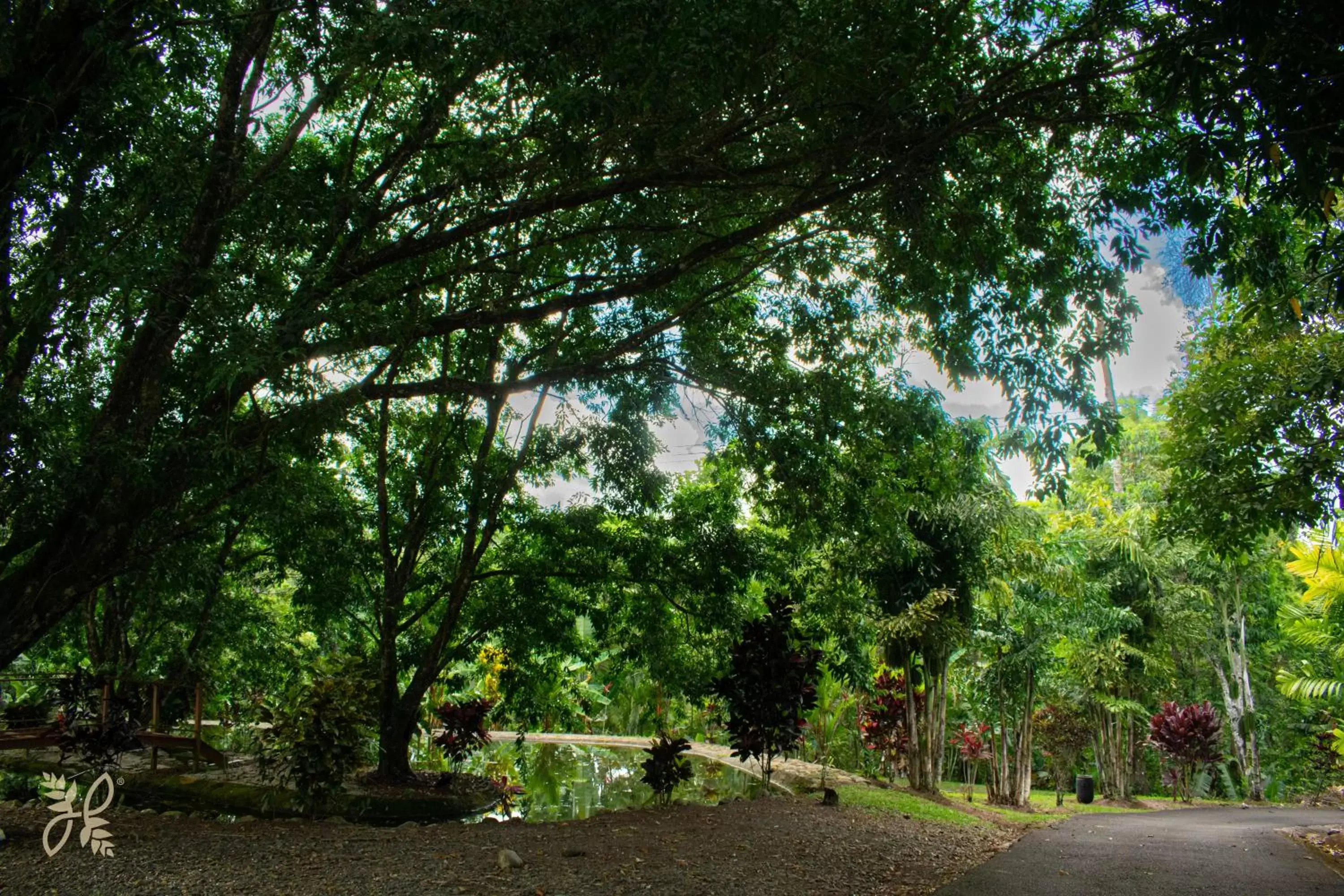 View (from property/room), Garden in Hotel Heliconias Nature Inn & Hot Springs