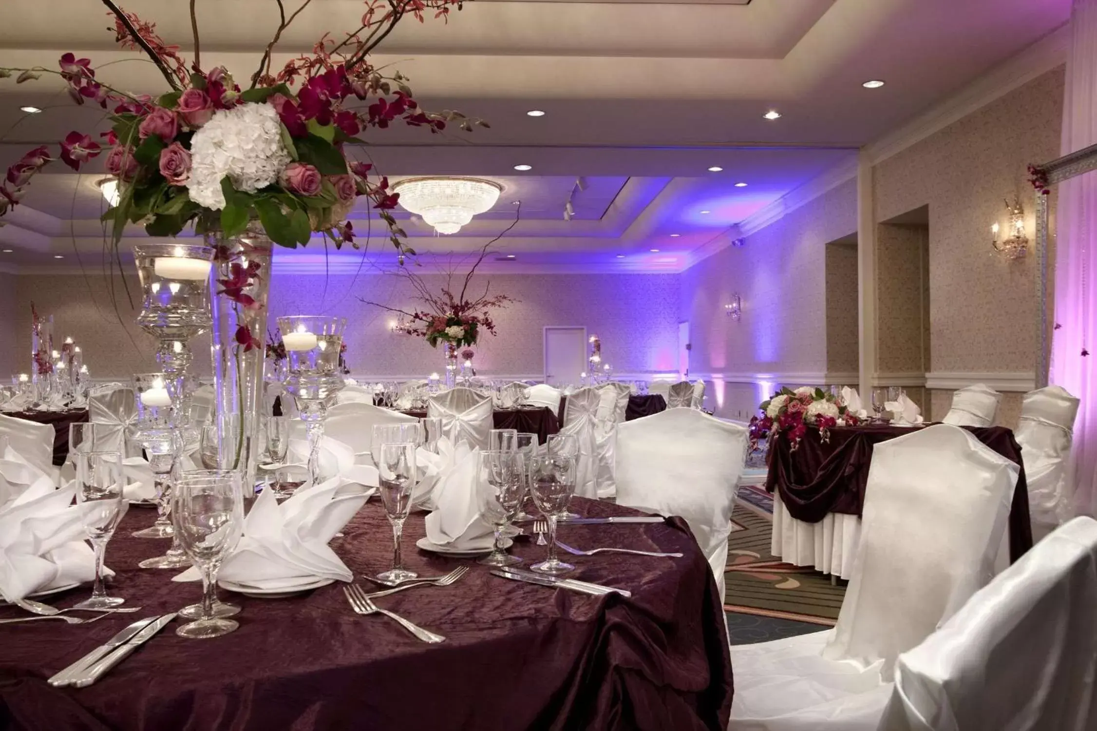 Meeting/conference room, Banquet Facilities in Hilton Washington DC/Rockville Hotel & Executive Meeting Center