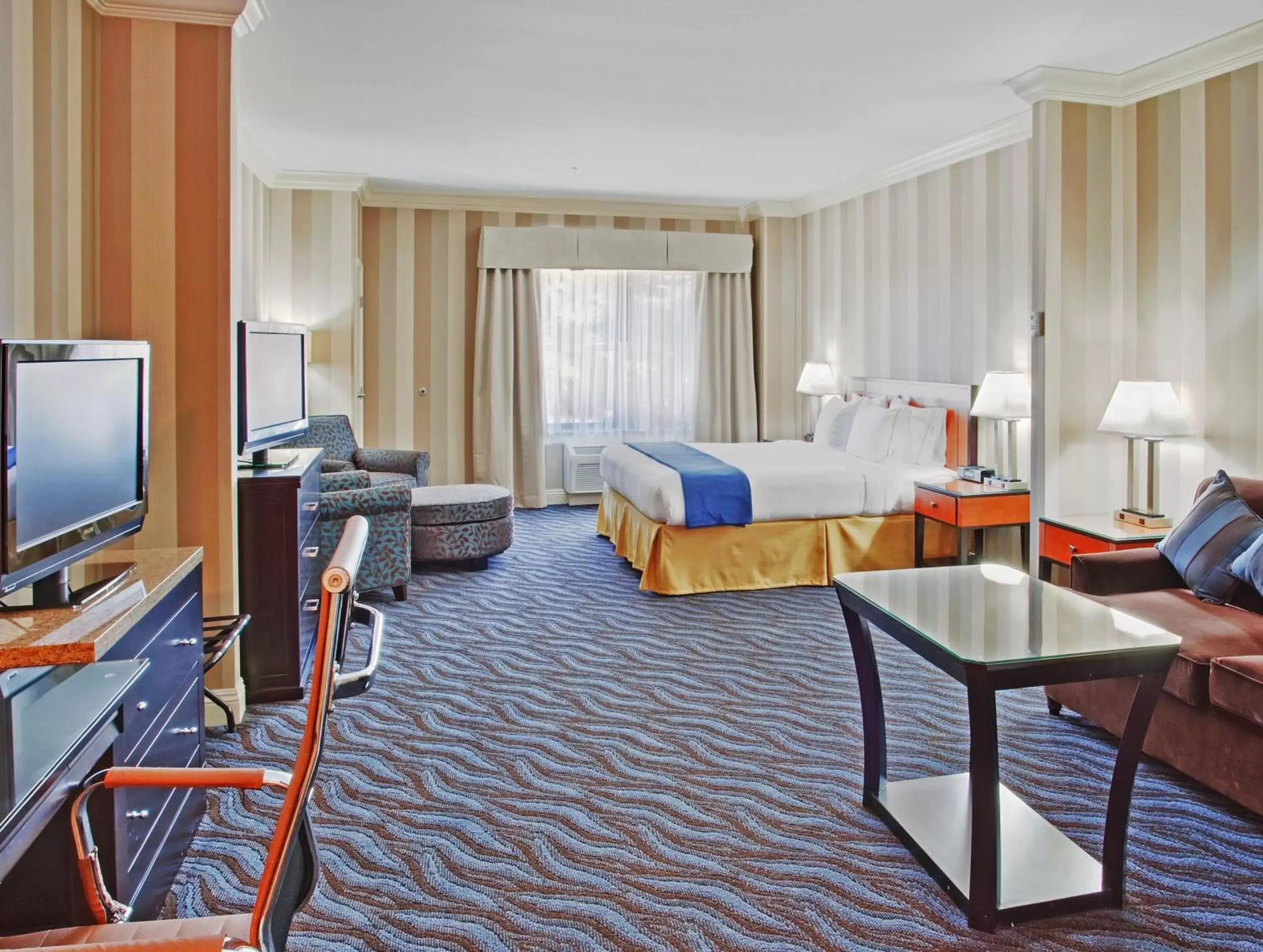 Photo of the whole room in Holiday Inn Express Hotel & Suites Santa Cruz, an IHG Hotel