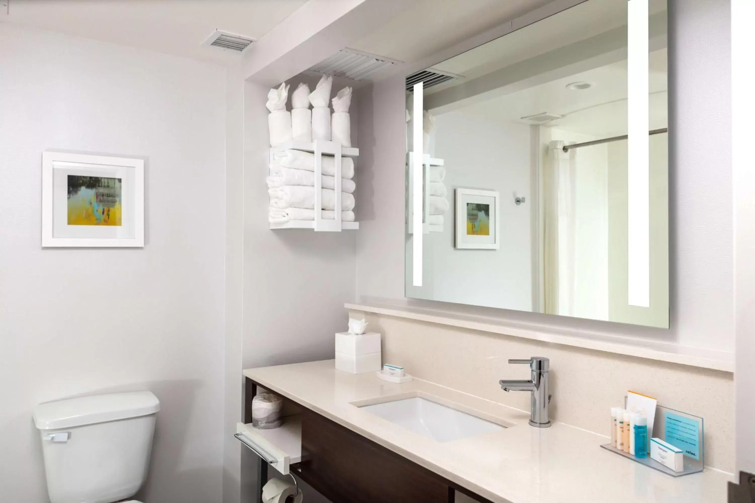Bathroom in Hampton Inn & Suites Arlington Crystal City DCA