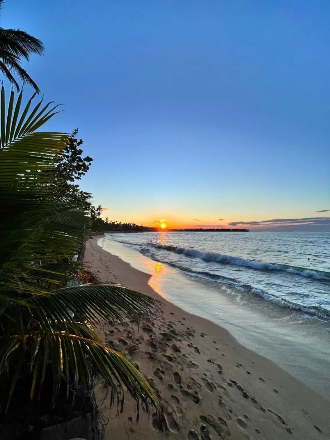 Beach in Hotel La Tortuga