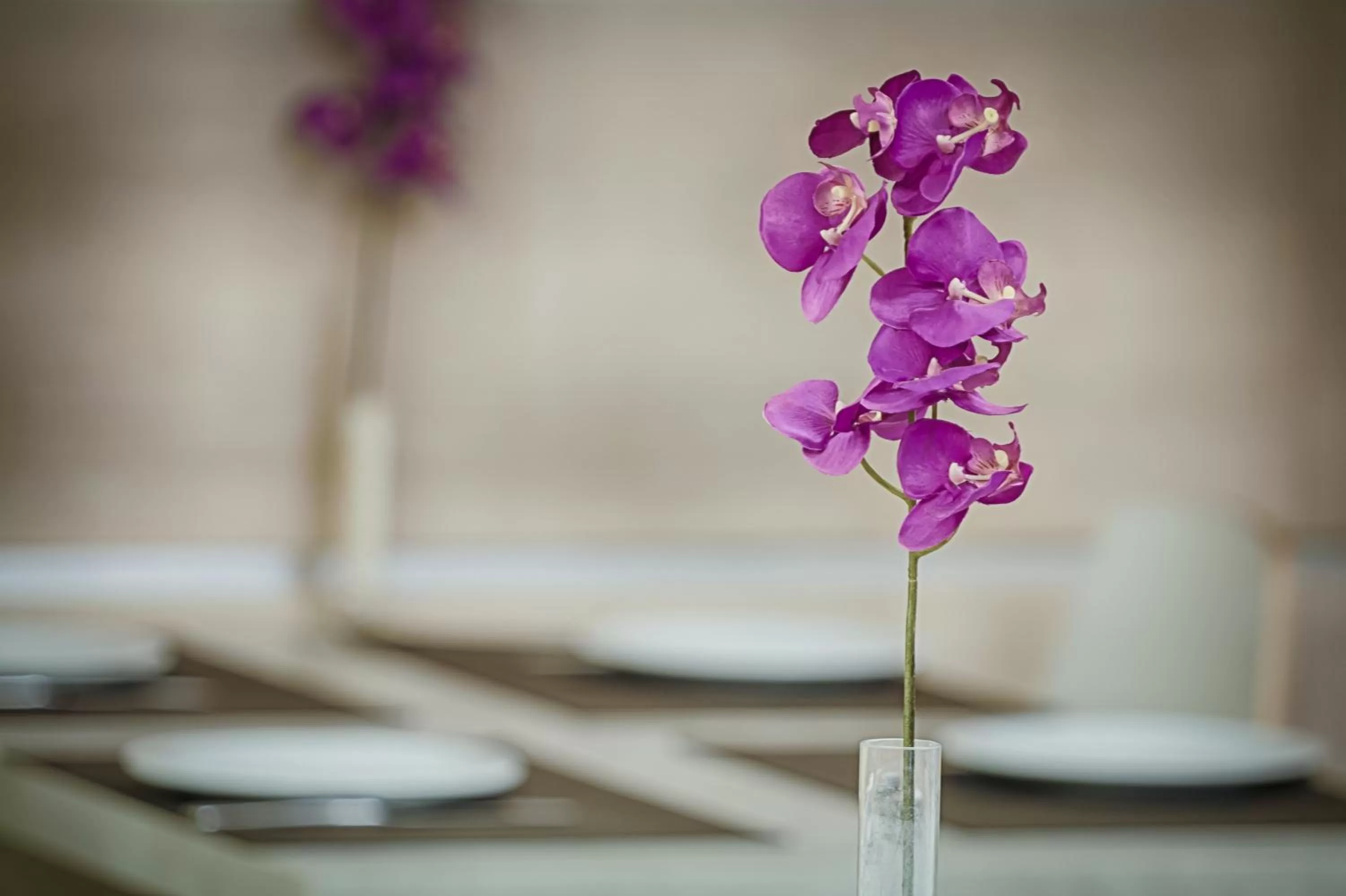 Decorative detail in Hotel Raganelli