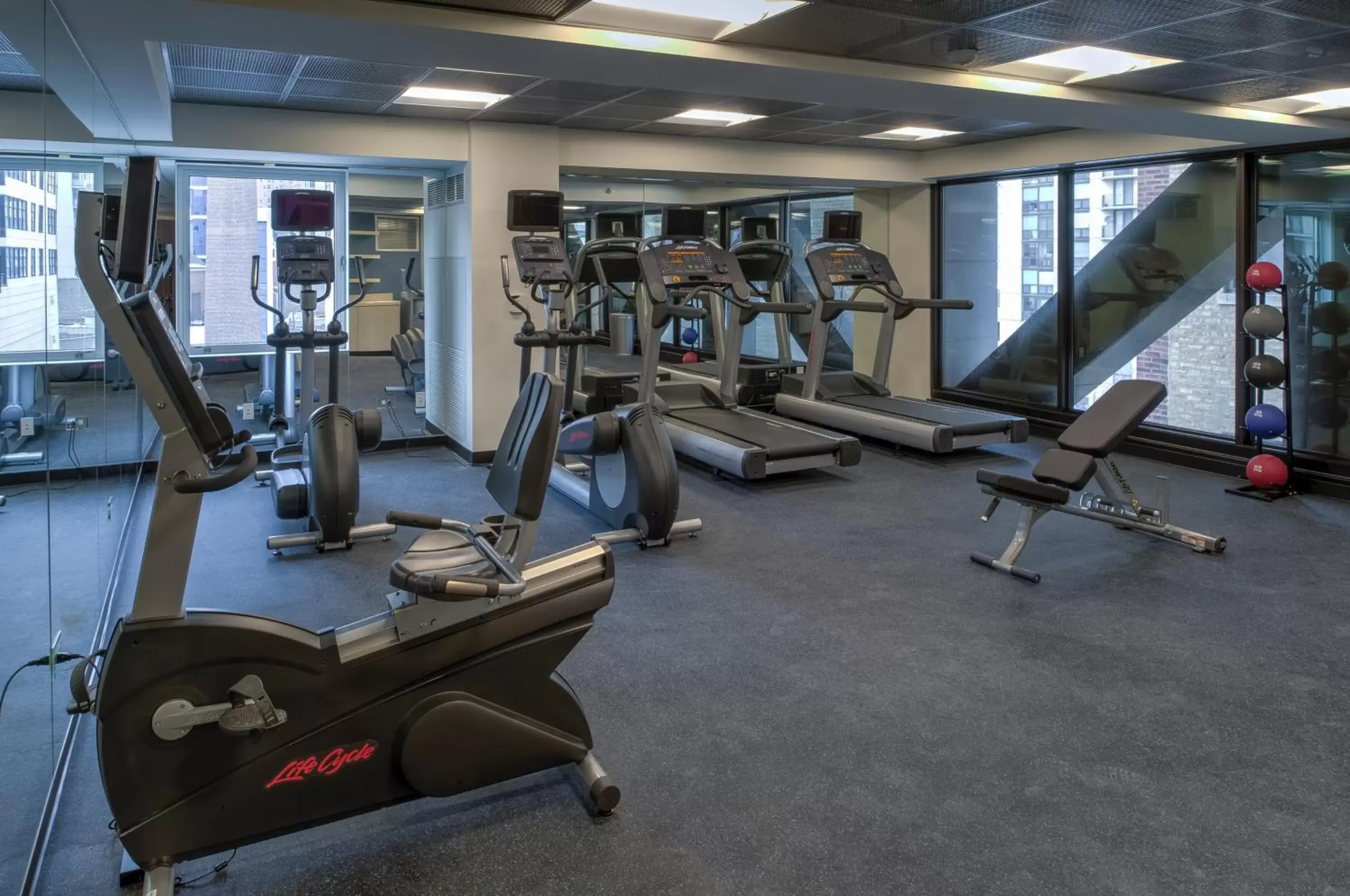 Fitness centre/facilities, Fitness Center/Facilities in Godfrey Hotel Chicago