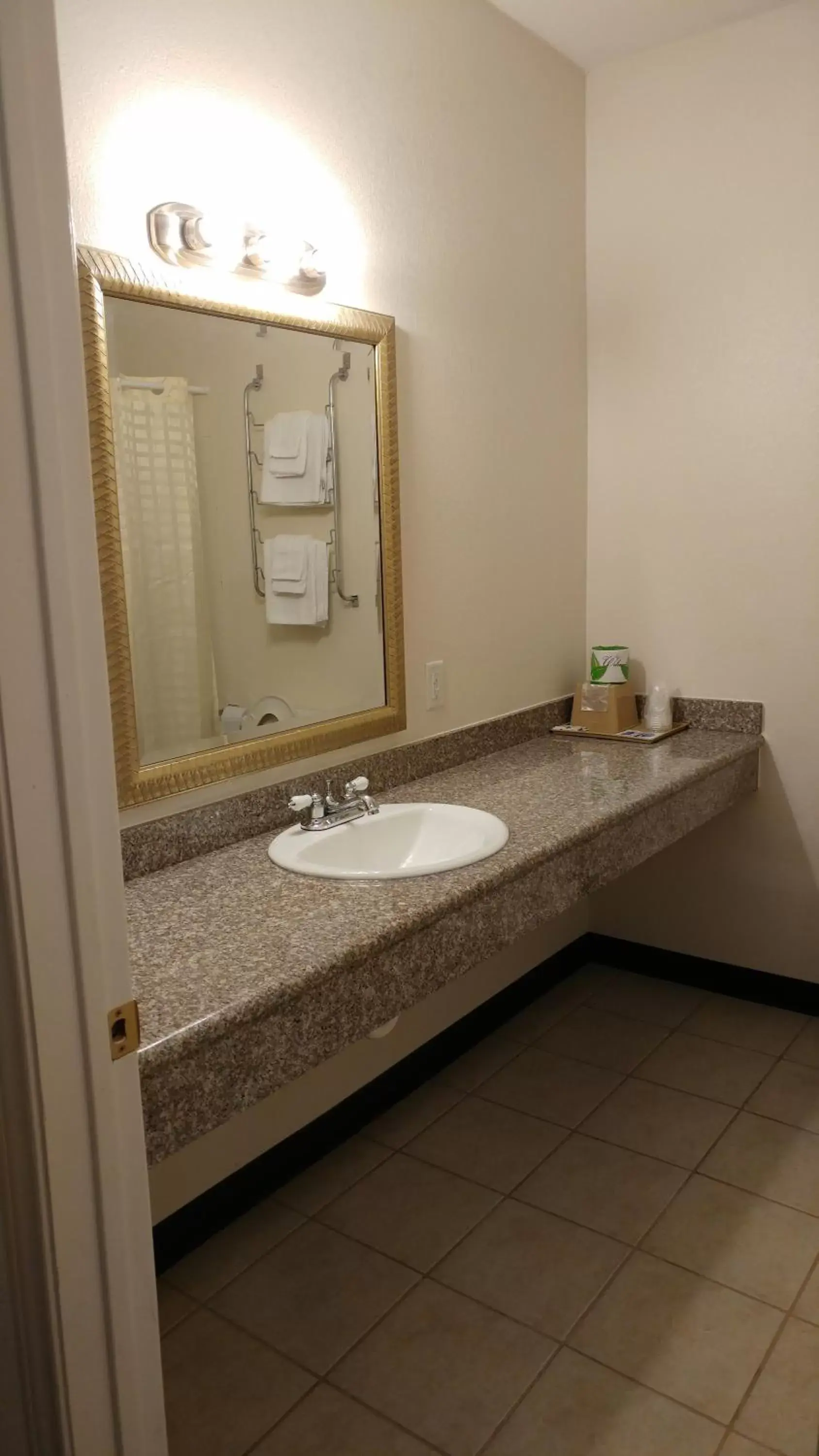 Bathroom in Country Regency Inn & Suites