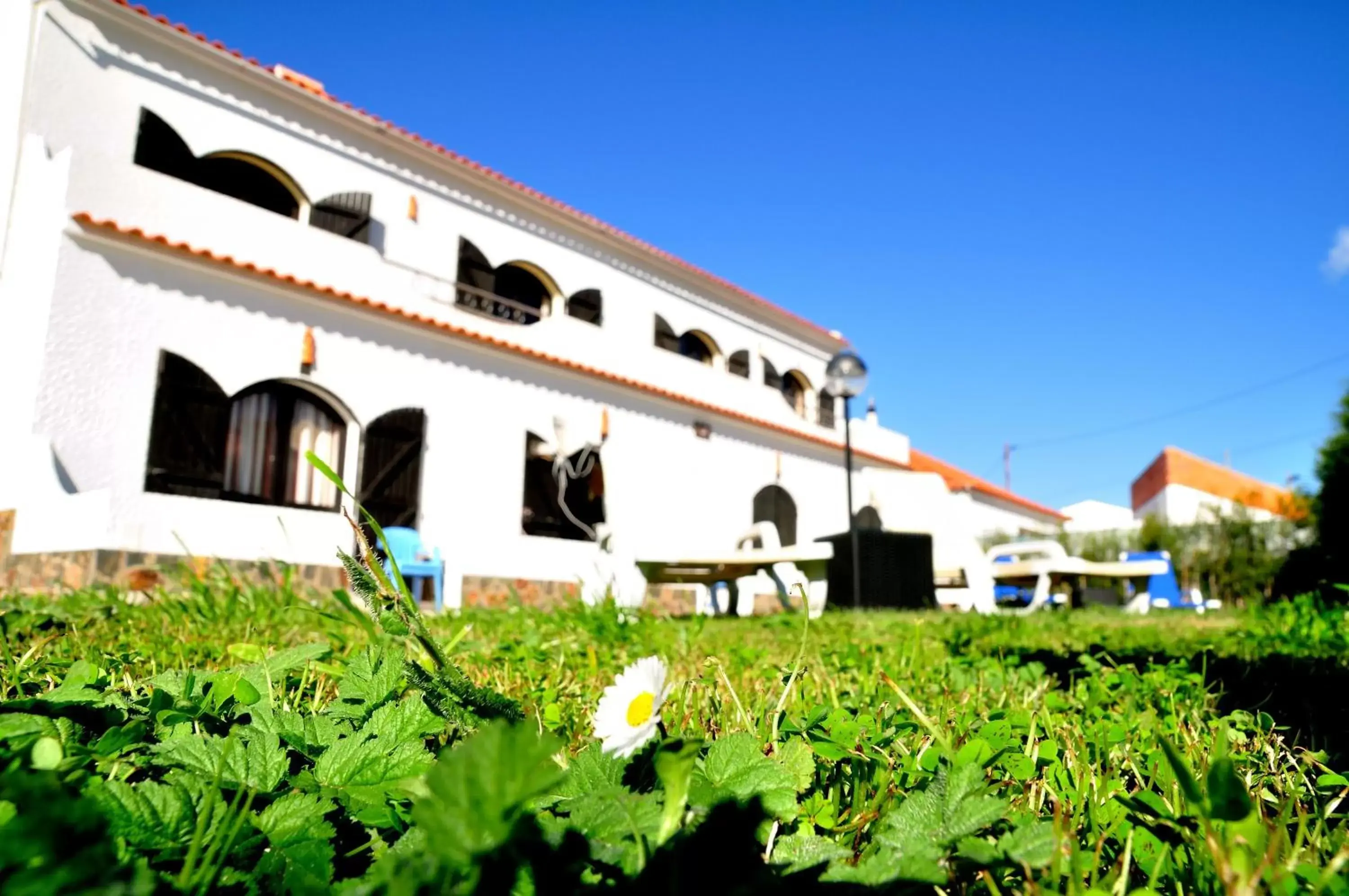 Garden, Property Building in Tonel Apartamentos Turisticos