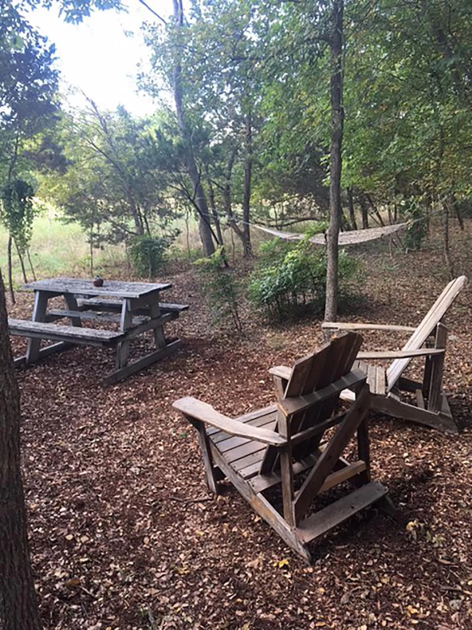 Seating area in Country Woods Inn