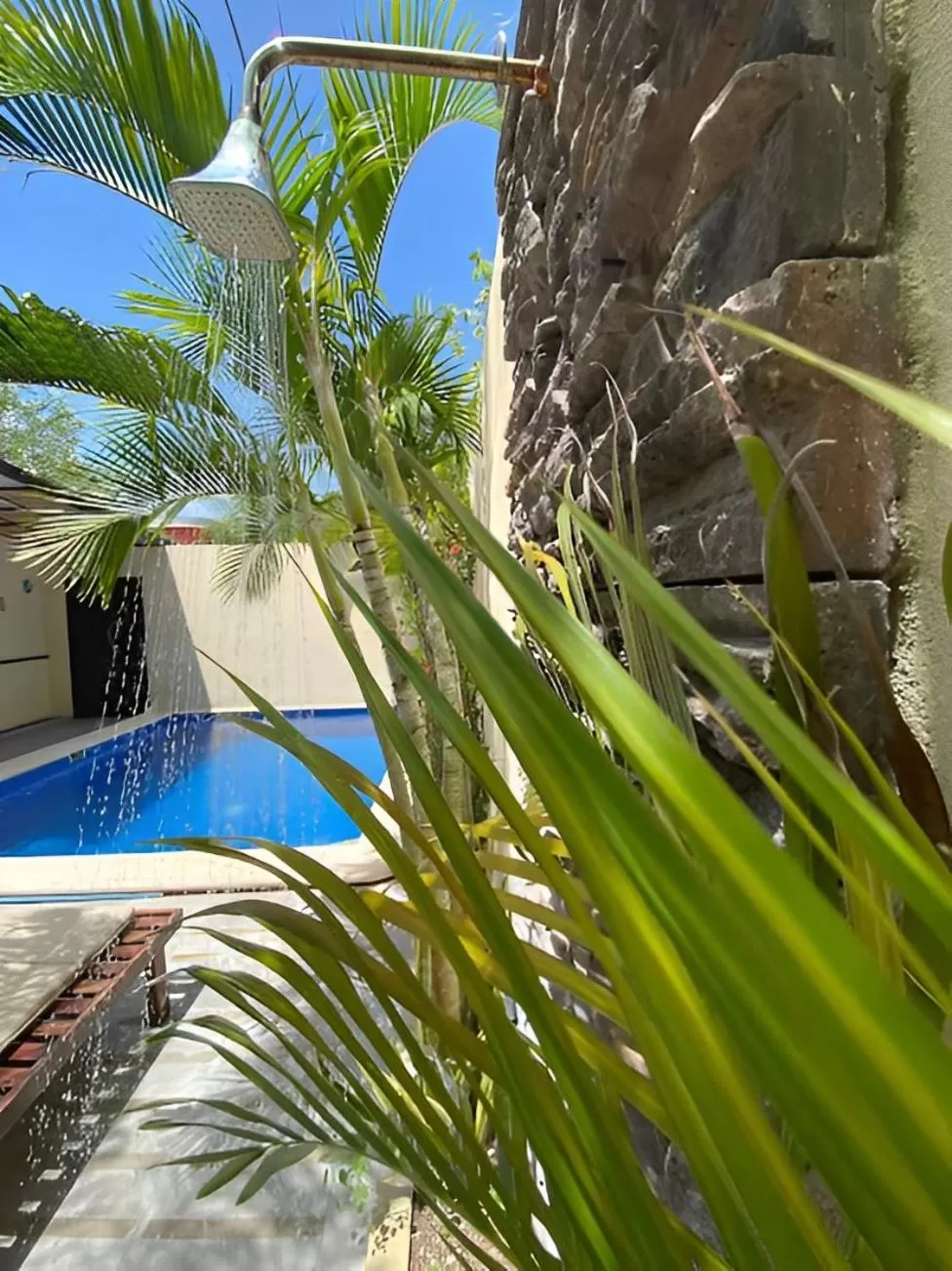 Swimming Pool in Basic Tulum