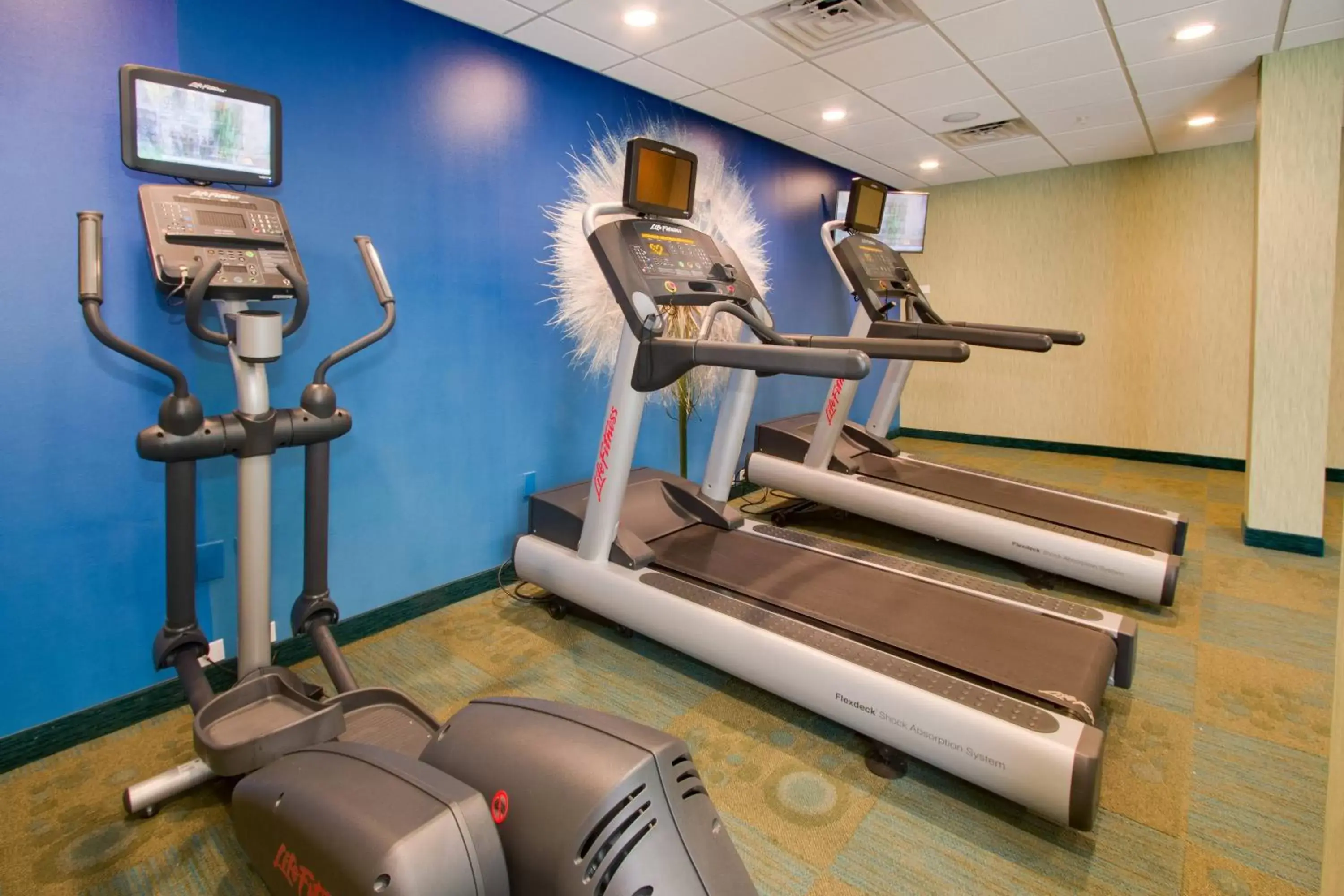 Fitness centre/facilities, Fitness Center/Facilities in SpringHill Suites by Marriott Orlando Lake Buena Vista South