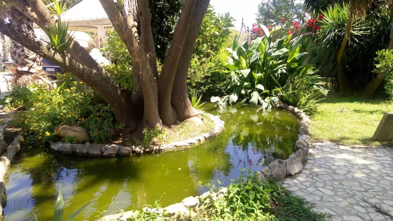 Natural landscape in B&B Scipponate