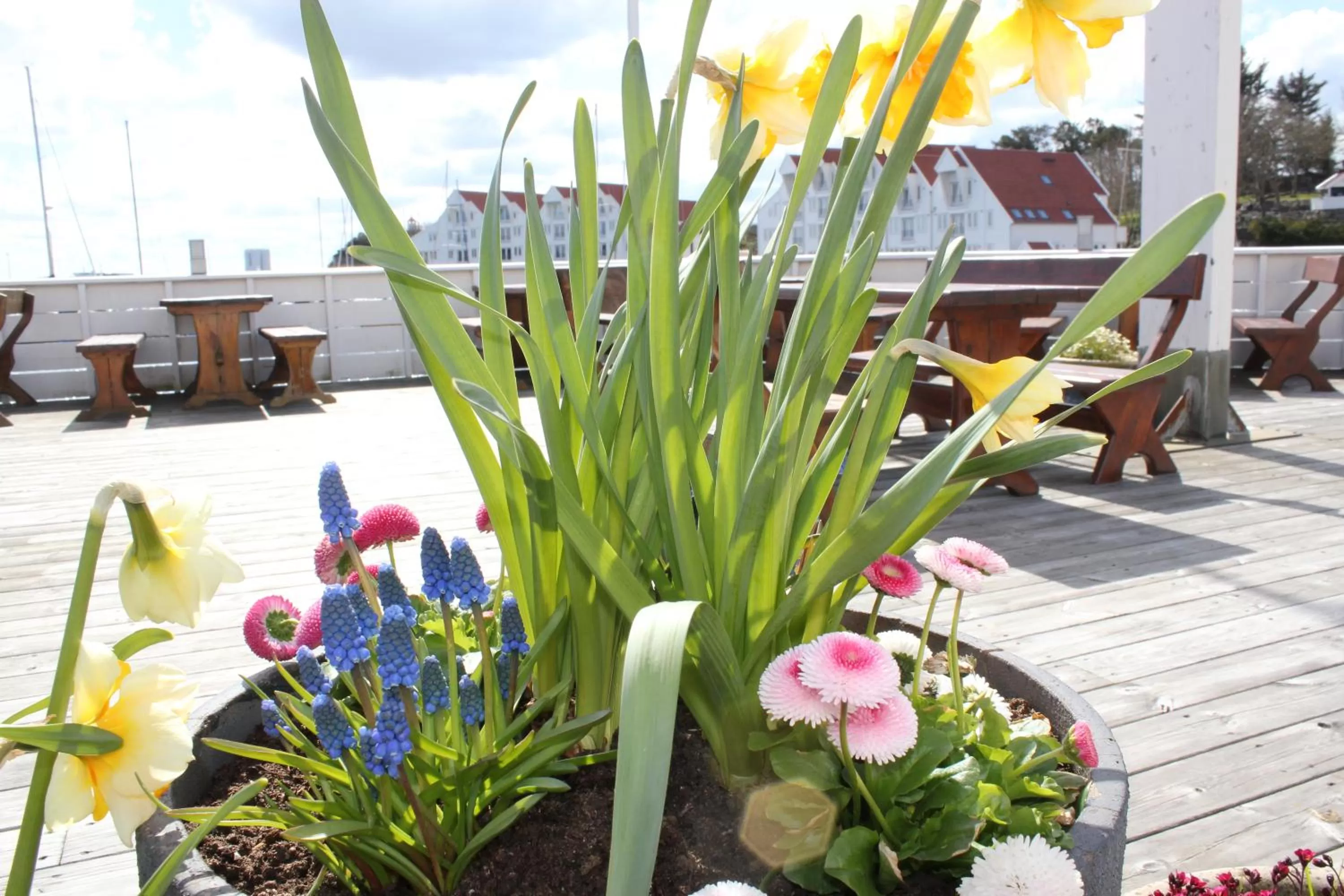 Facade/entrance in Hummeren Hotel