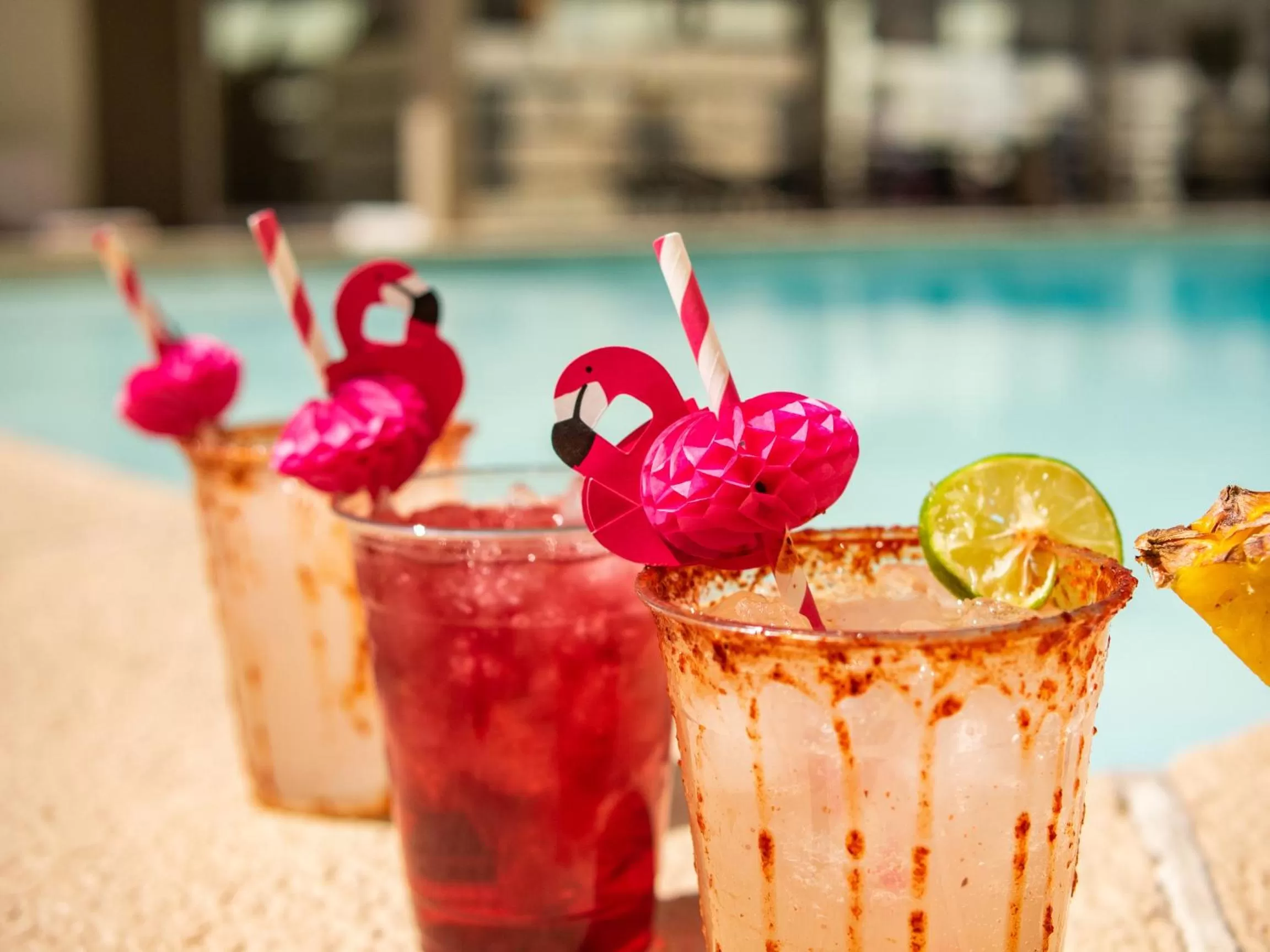 Swimming Pool in Hotel Mesaluna Near American Consulate