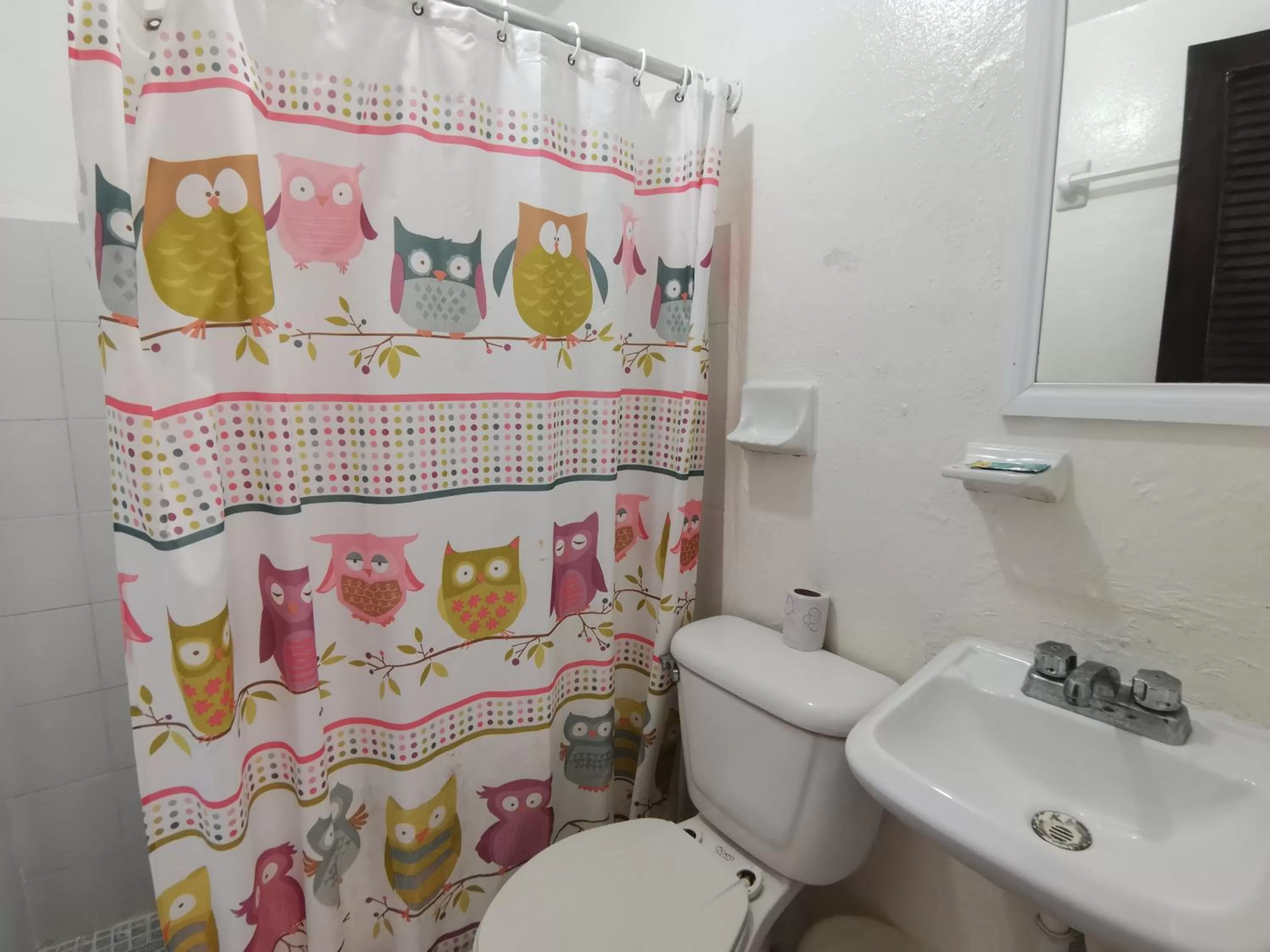 Bathroom in Hotel Colonial San Carlos