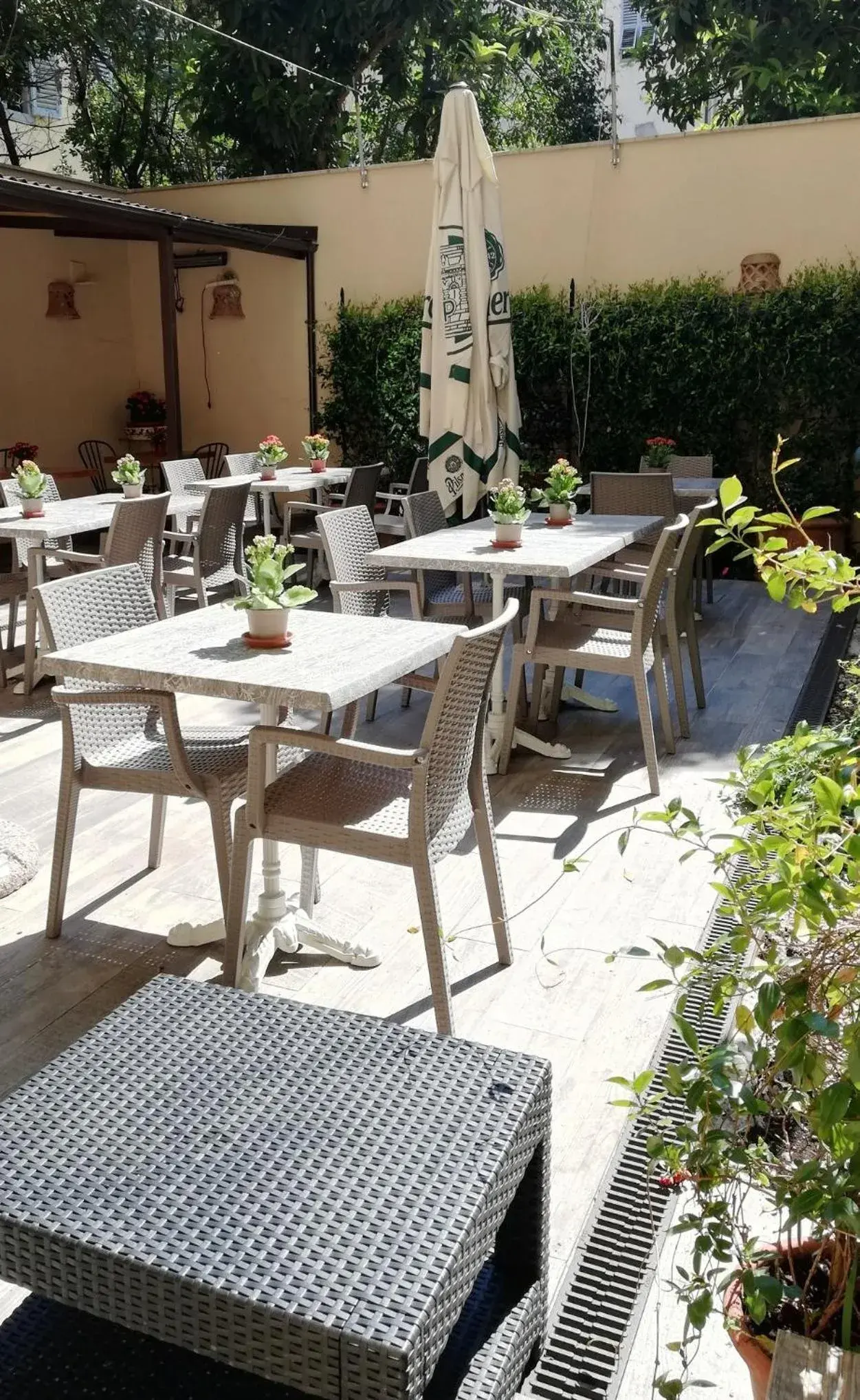 Patio, Restaurant/Places to Eat in Hotel Cimabue