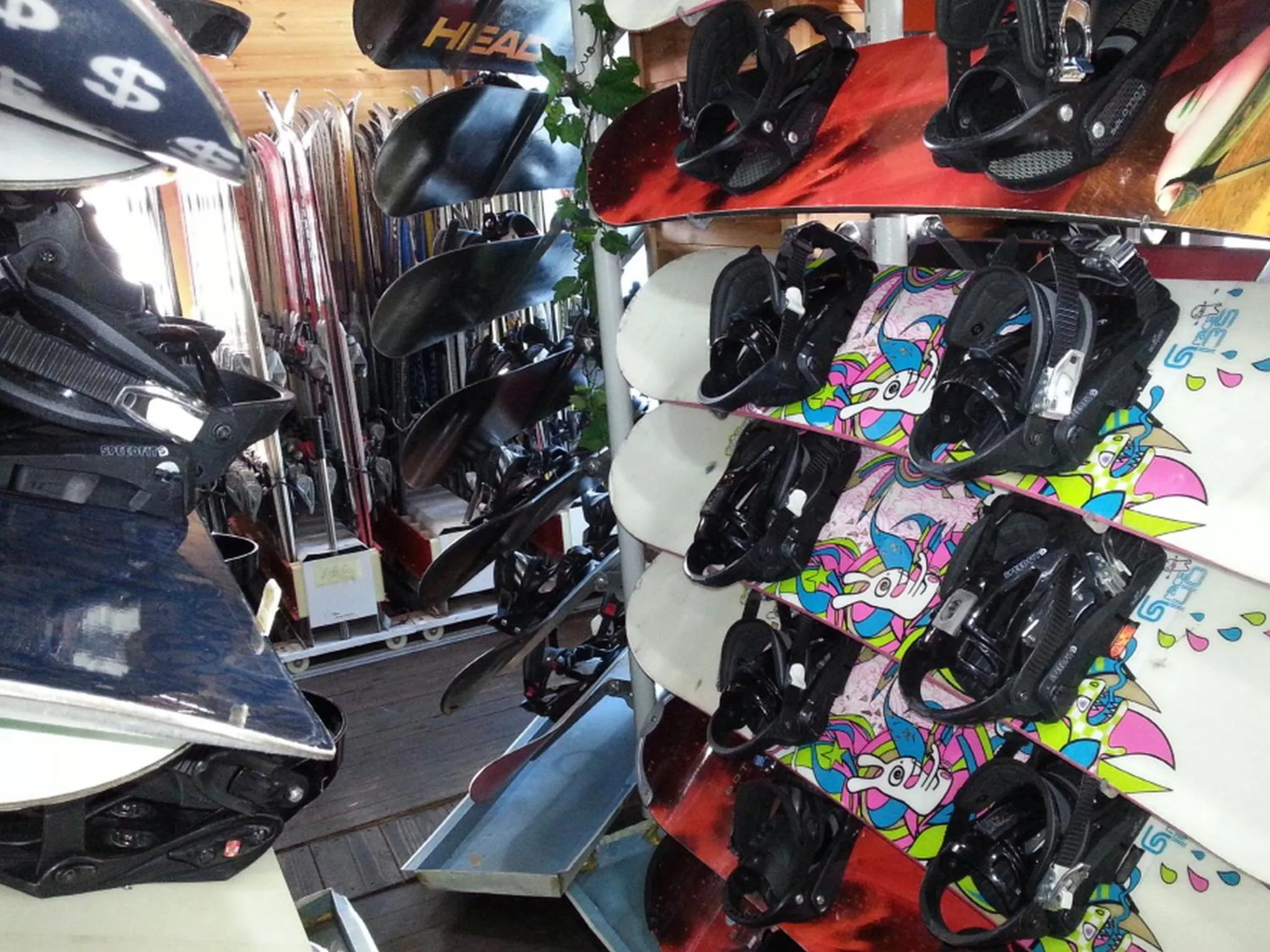 Skiing in White Cabin