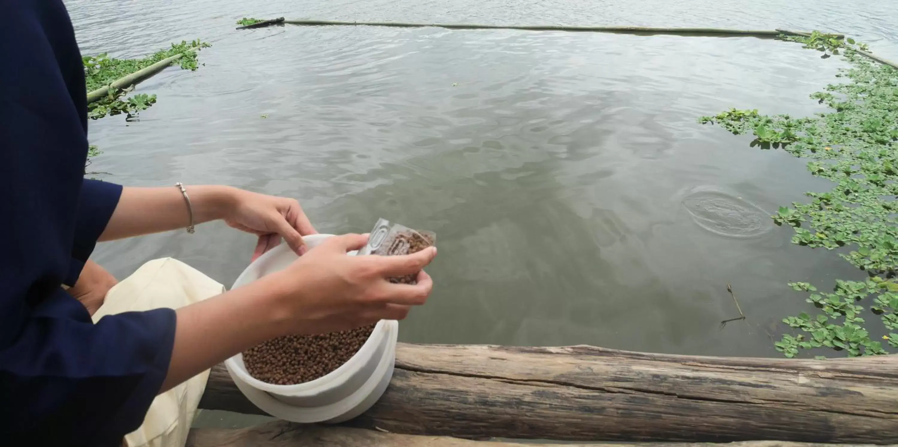 River view in Doi Inthanon Riverside resort