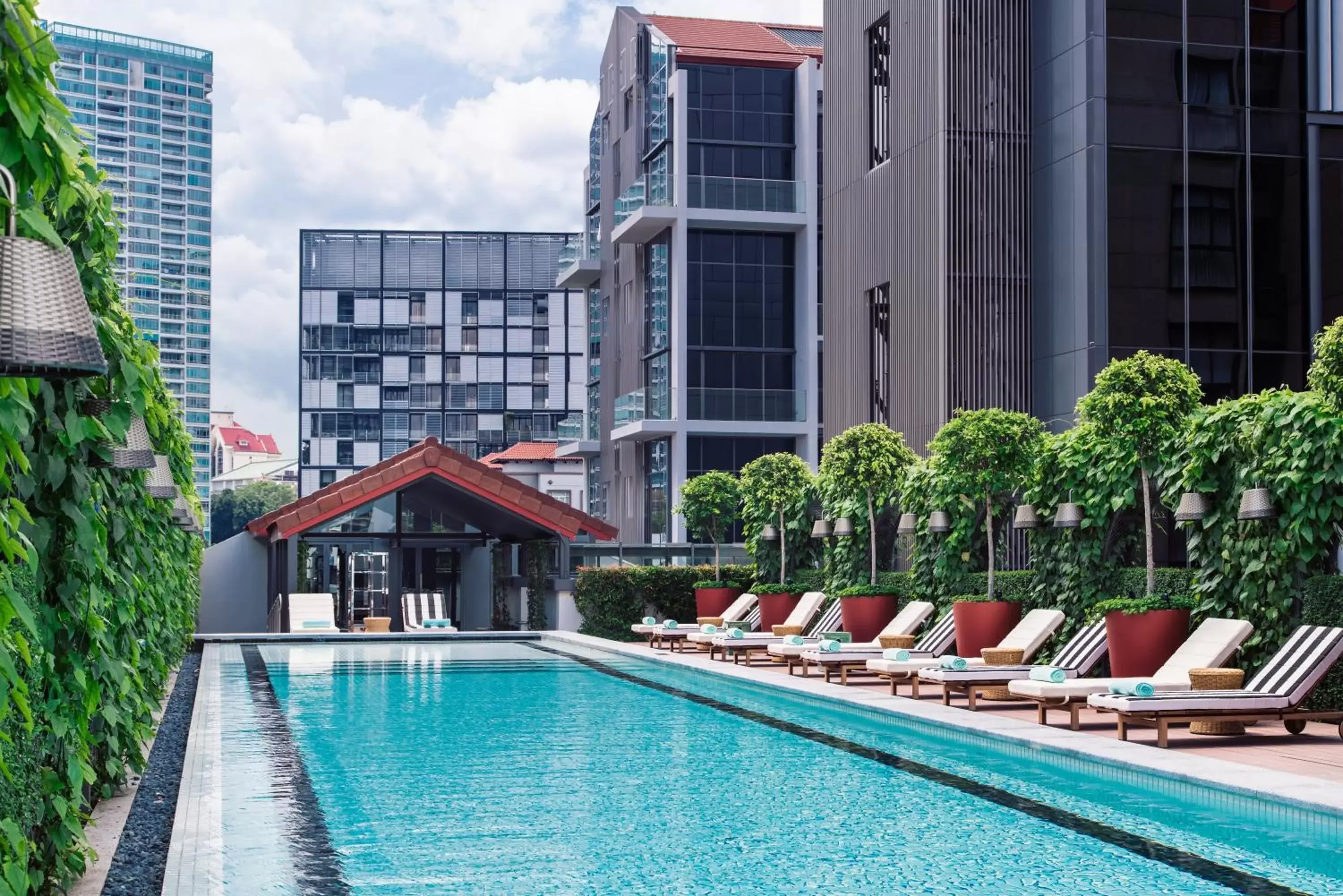 Swimming Pool in M Social Singapore
