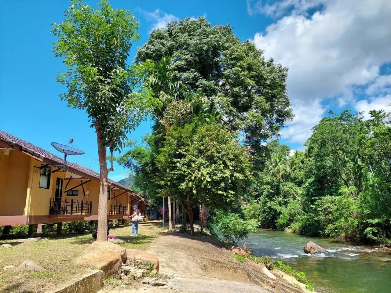 Property Building in Khaosok Rainforest Resort