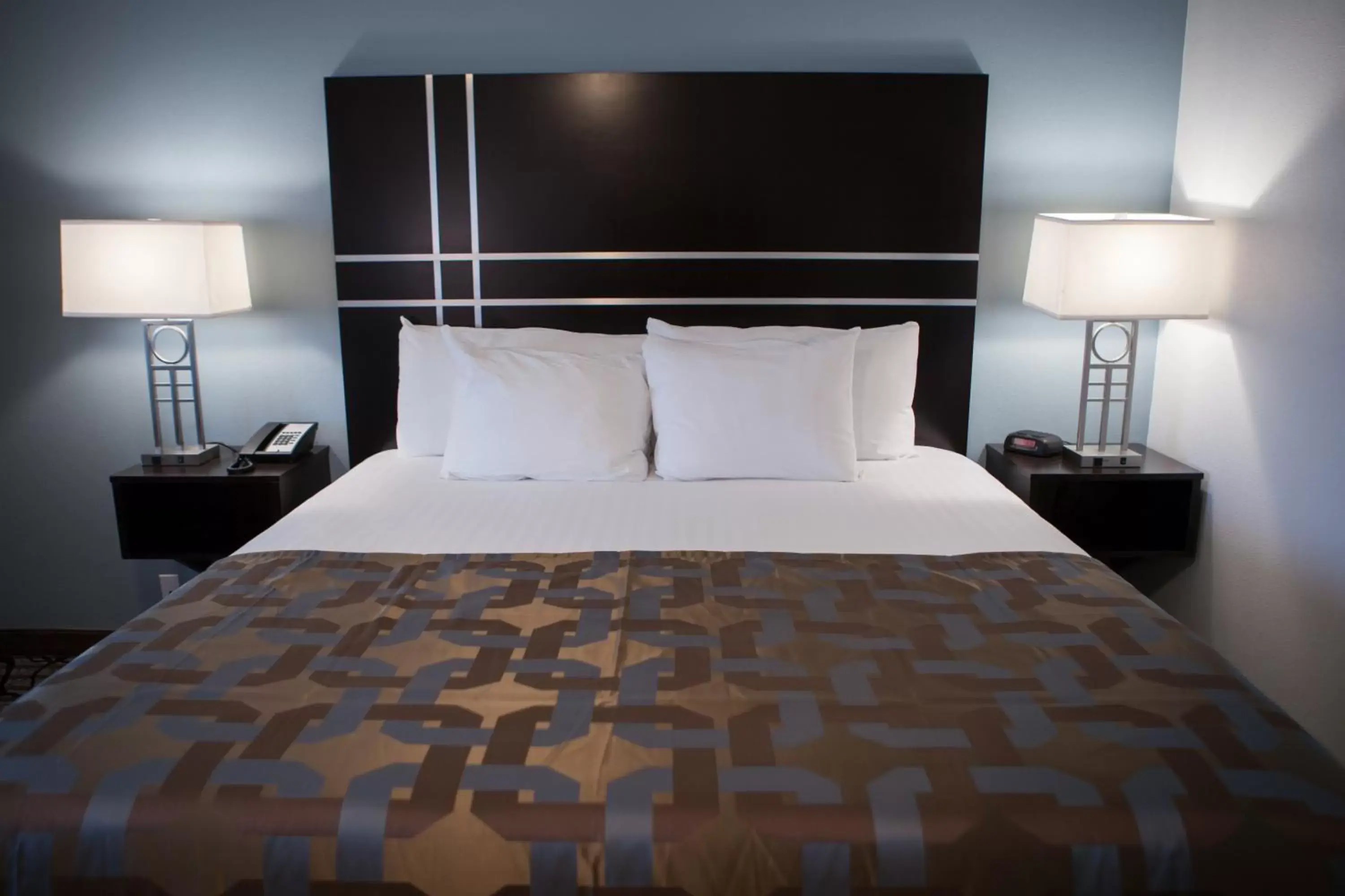 Bed, Room Photo in La Quinta Inn & Suites by Wyndham Lubbock Southwest